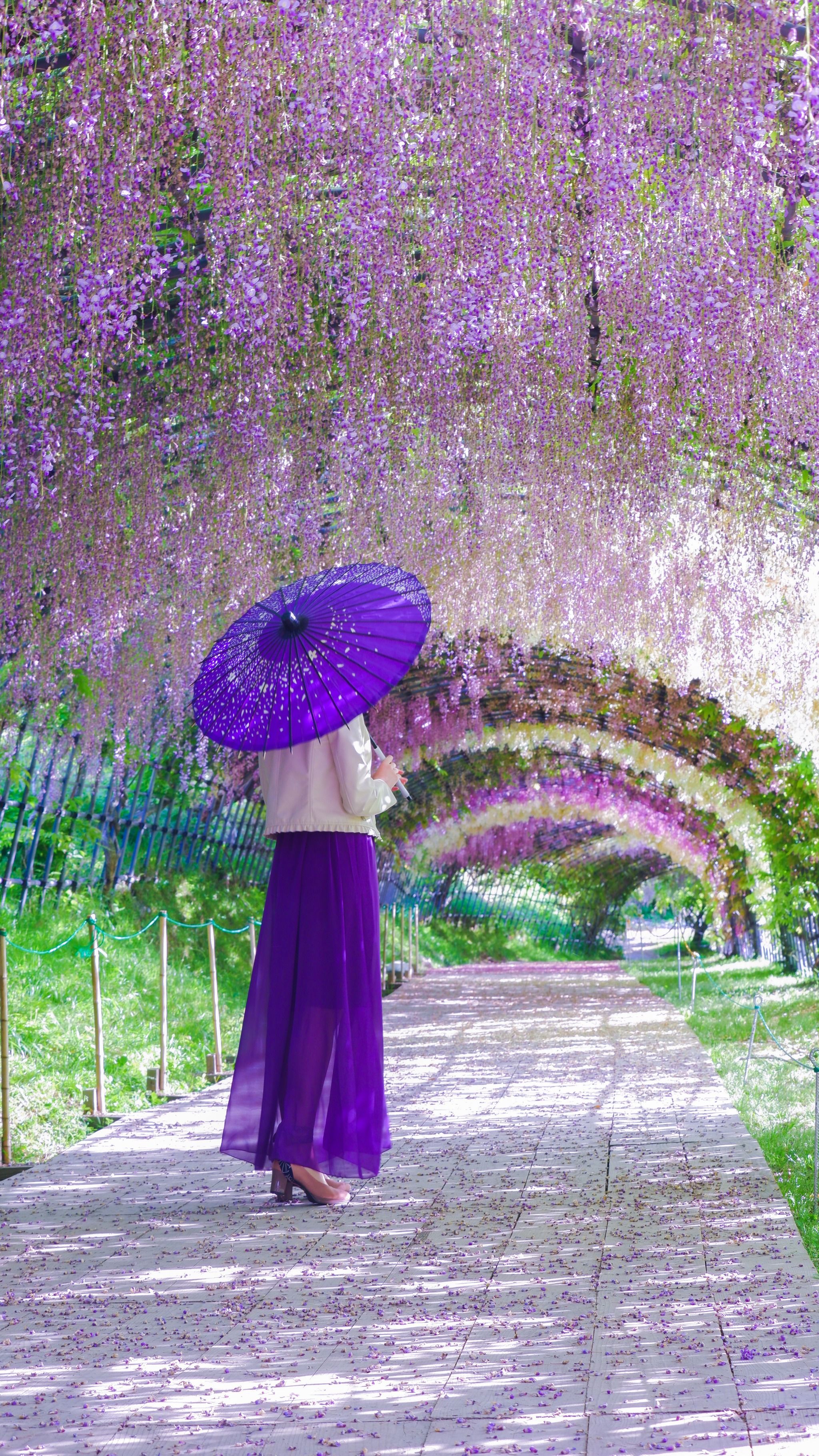 Kawachi Fujien
