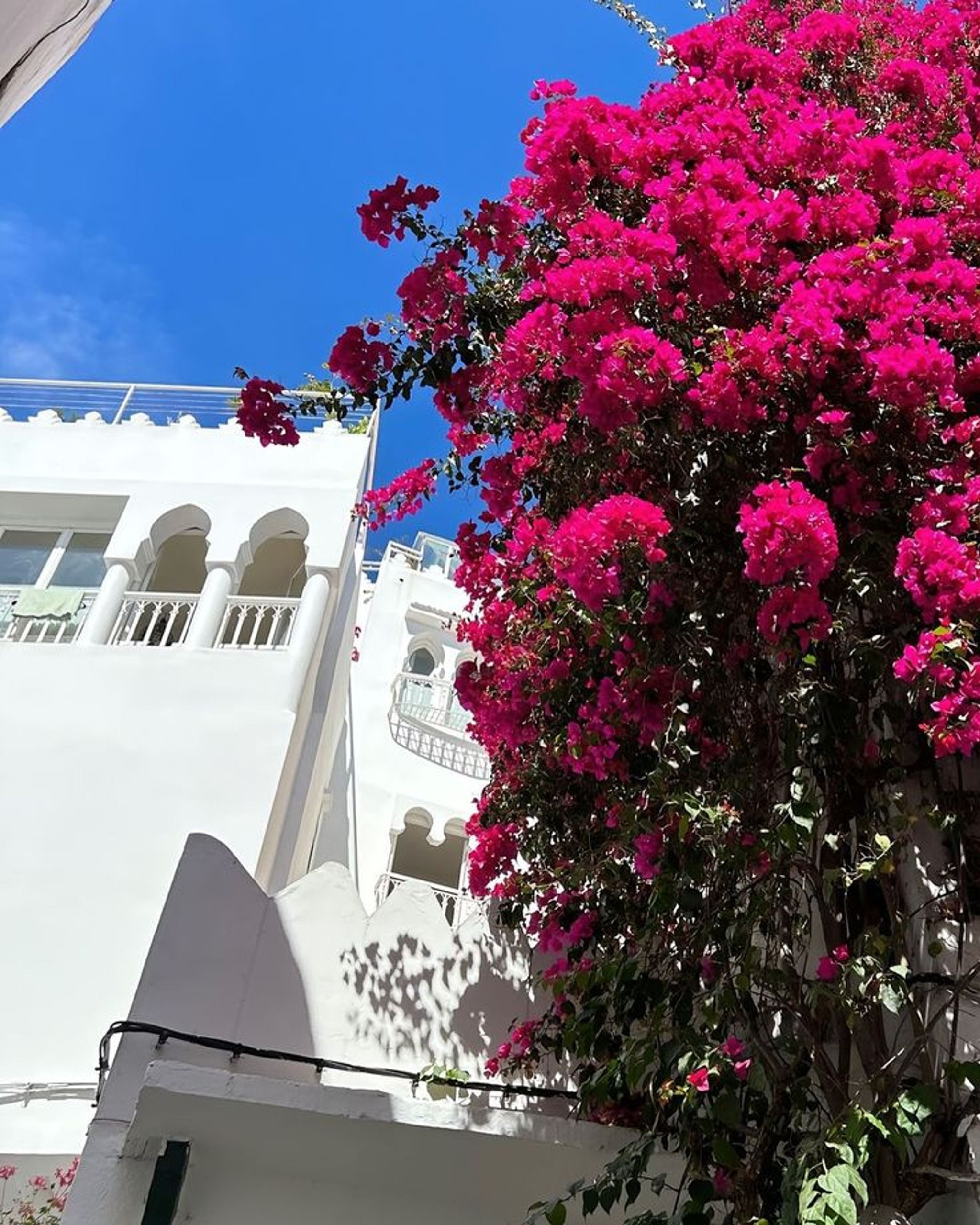 Tangier Kasbah
