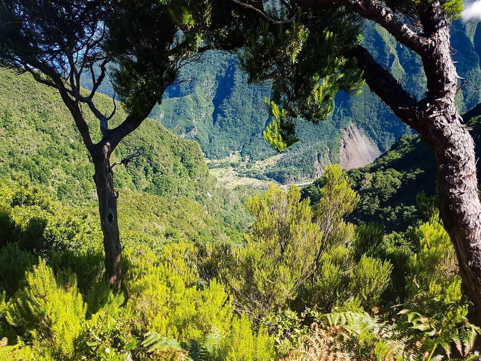 PR13 - Vereda do Fanal