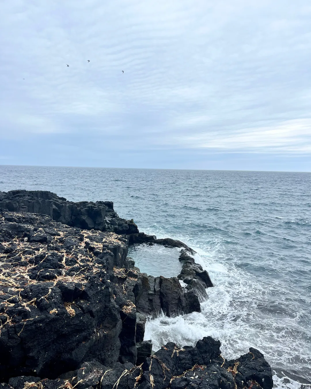 Brimketill lava rock pool
