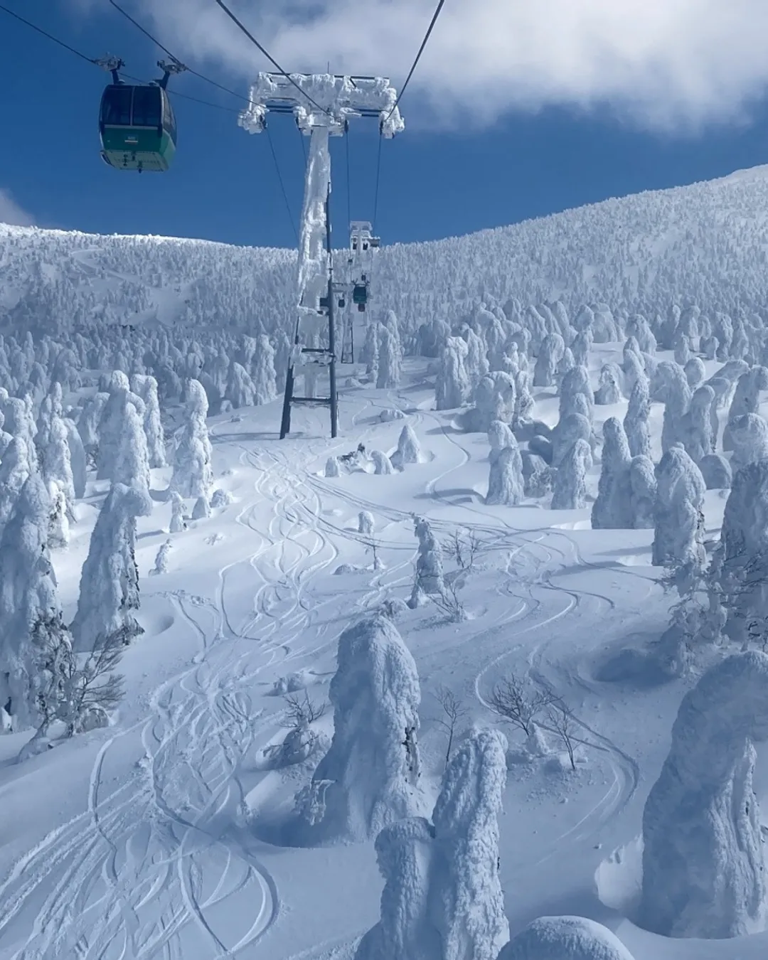 Zao Snow Monsters - Rural Travels, Japan - Rexby