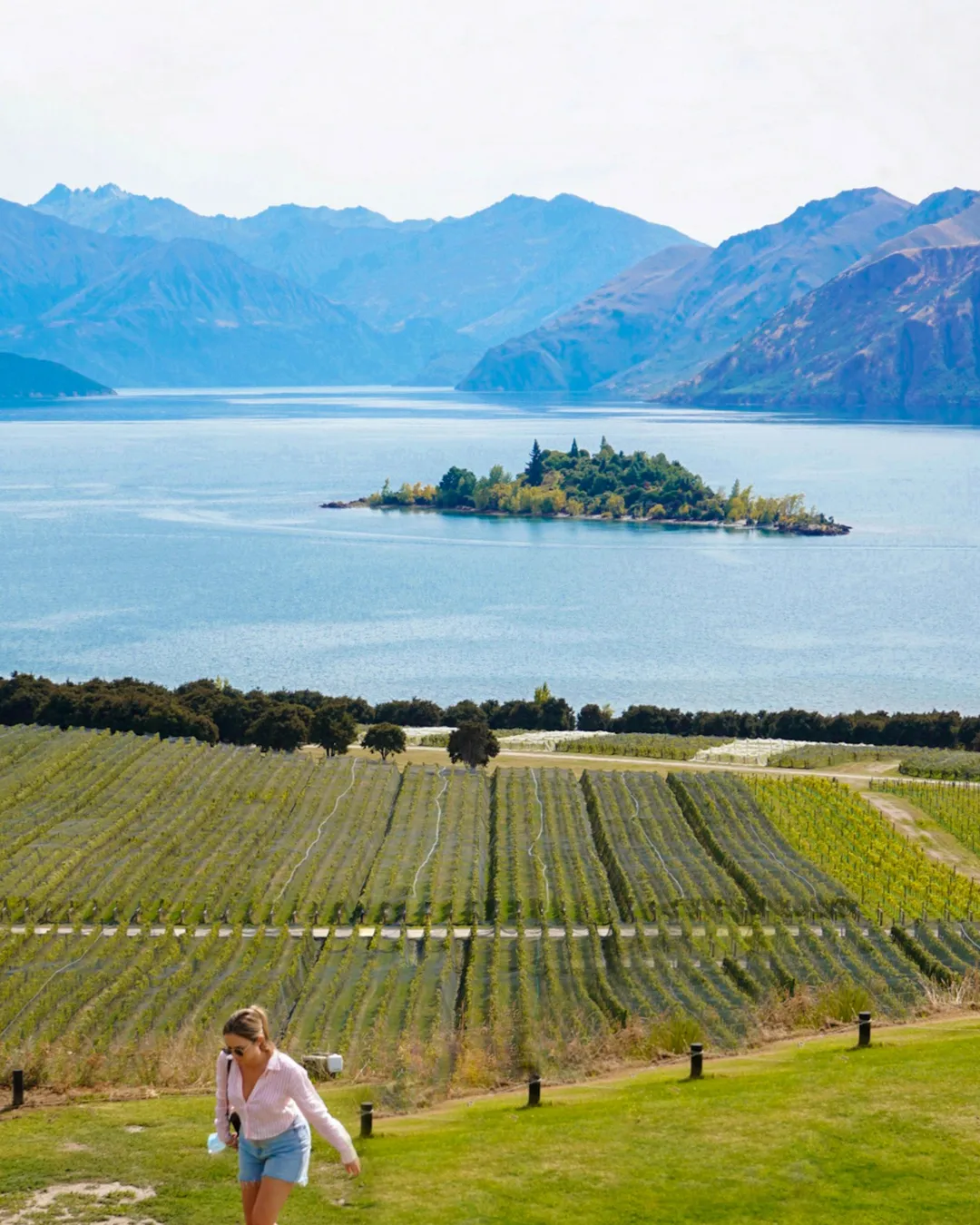 Rippon Winery 