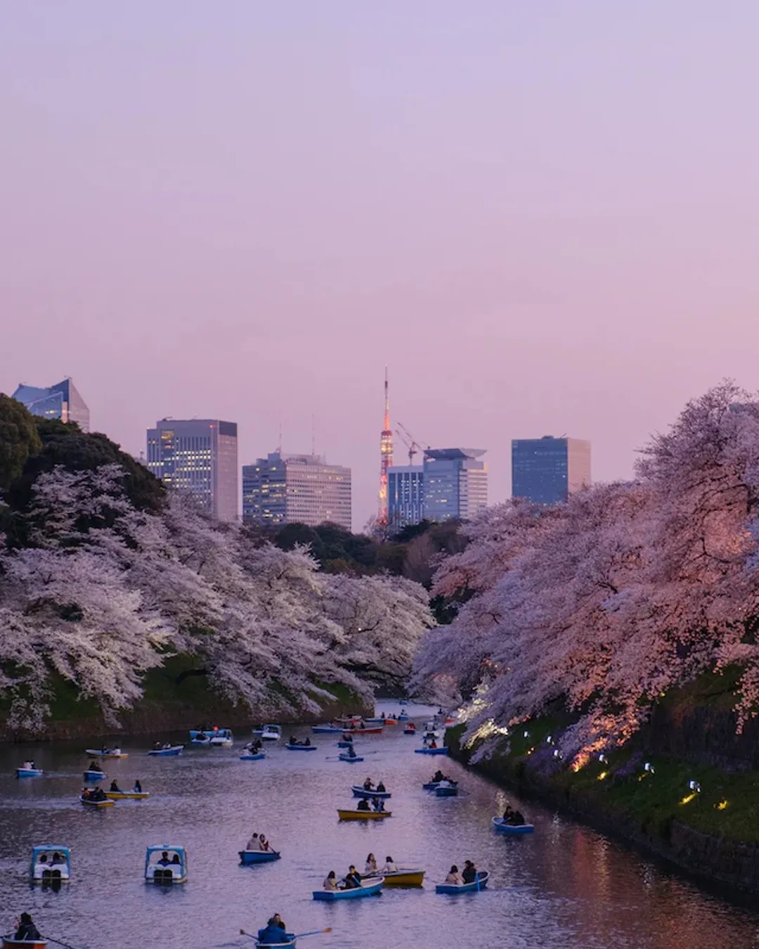 Chidorigafuchi Park