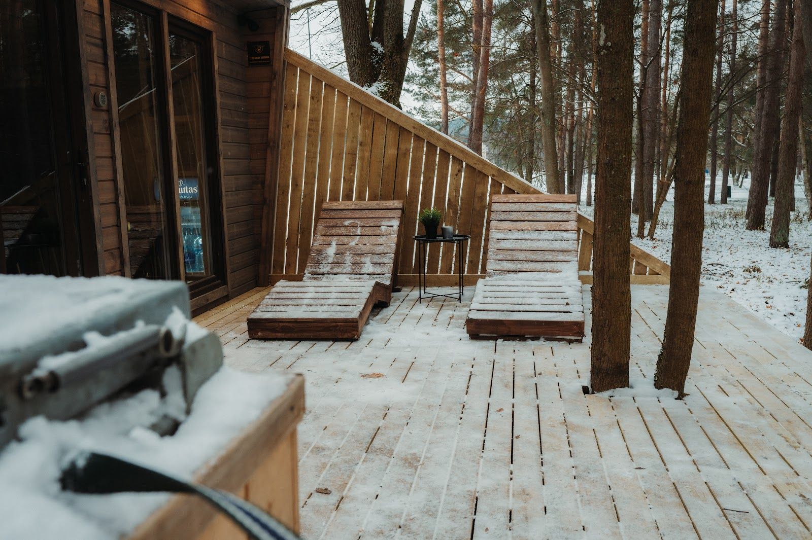 Vytautas muša gongã