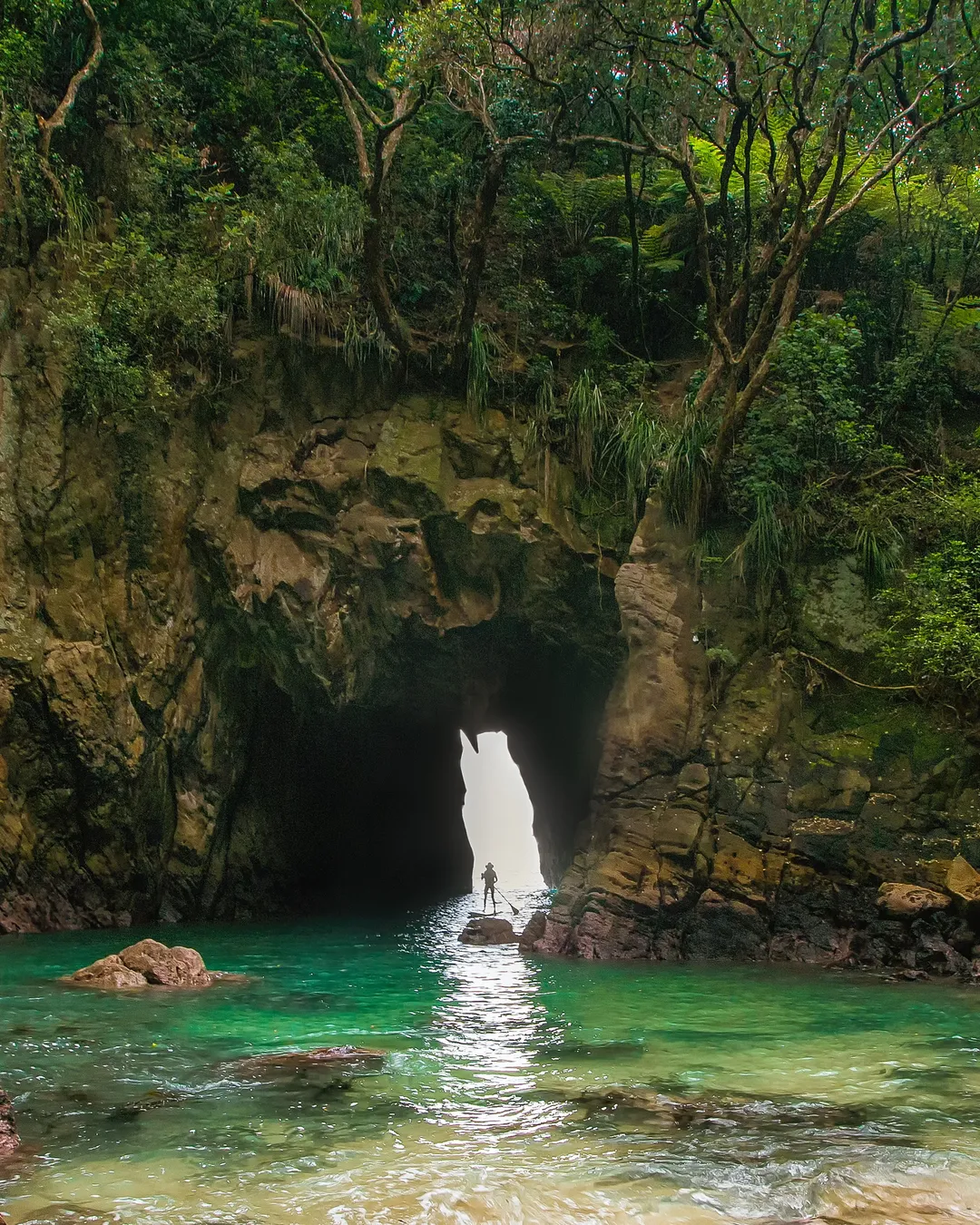 Whenuakura Donut Island Kayak Tour - Whangamata Coromandel