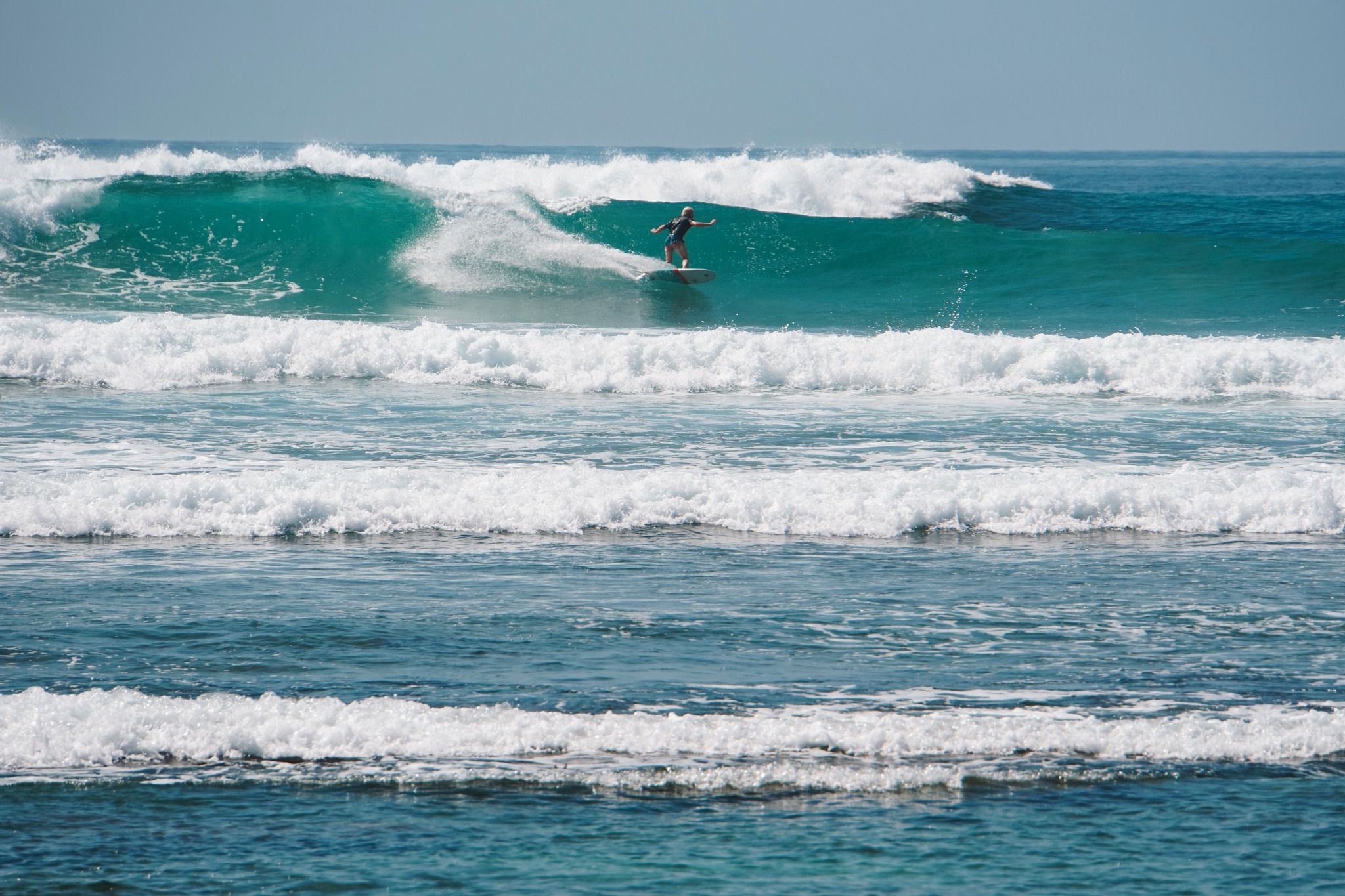 Animals Surf Spot
