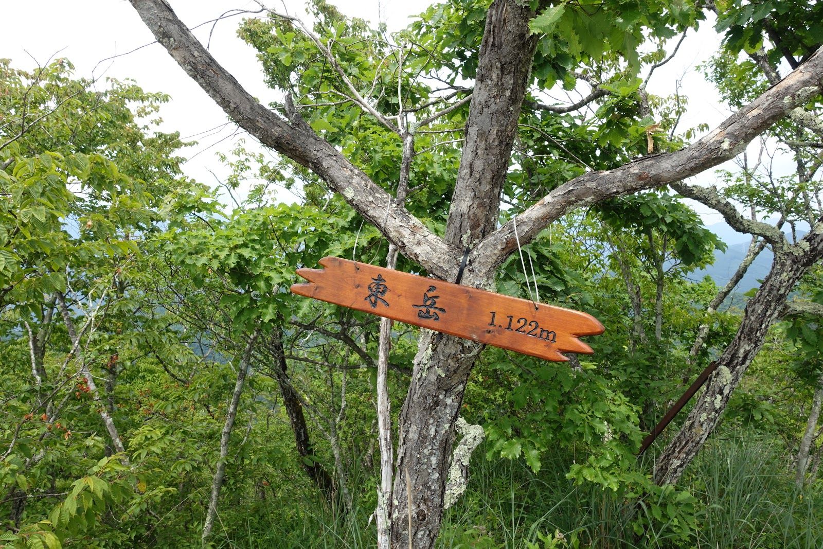 Futagoyama - Rural Travels, Japan - Rexby