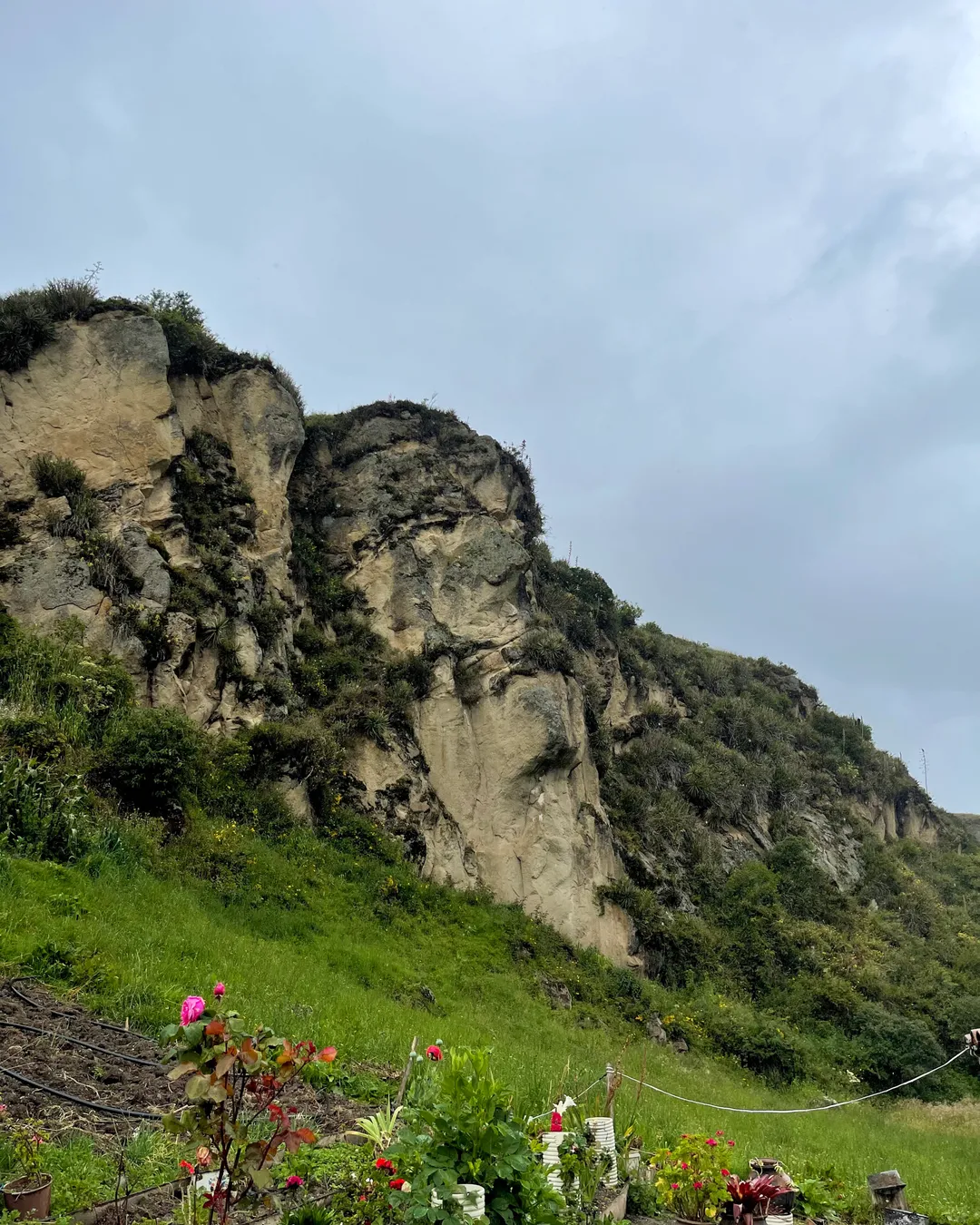 Cara del Inca