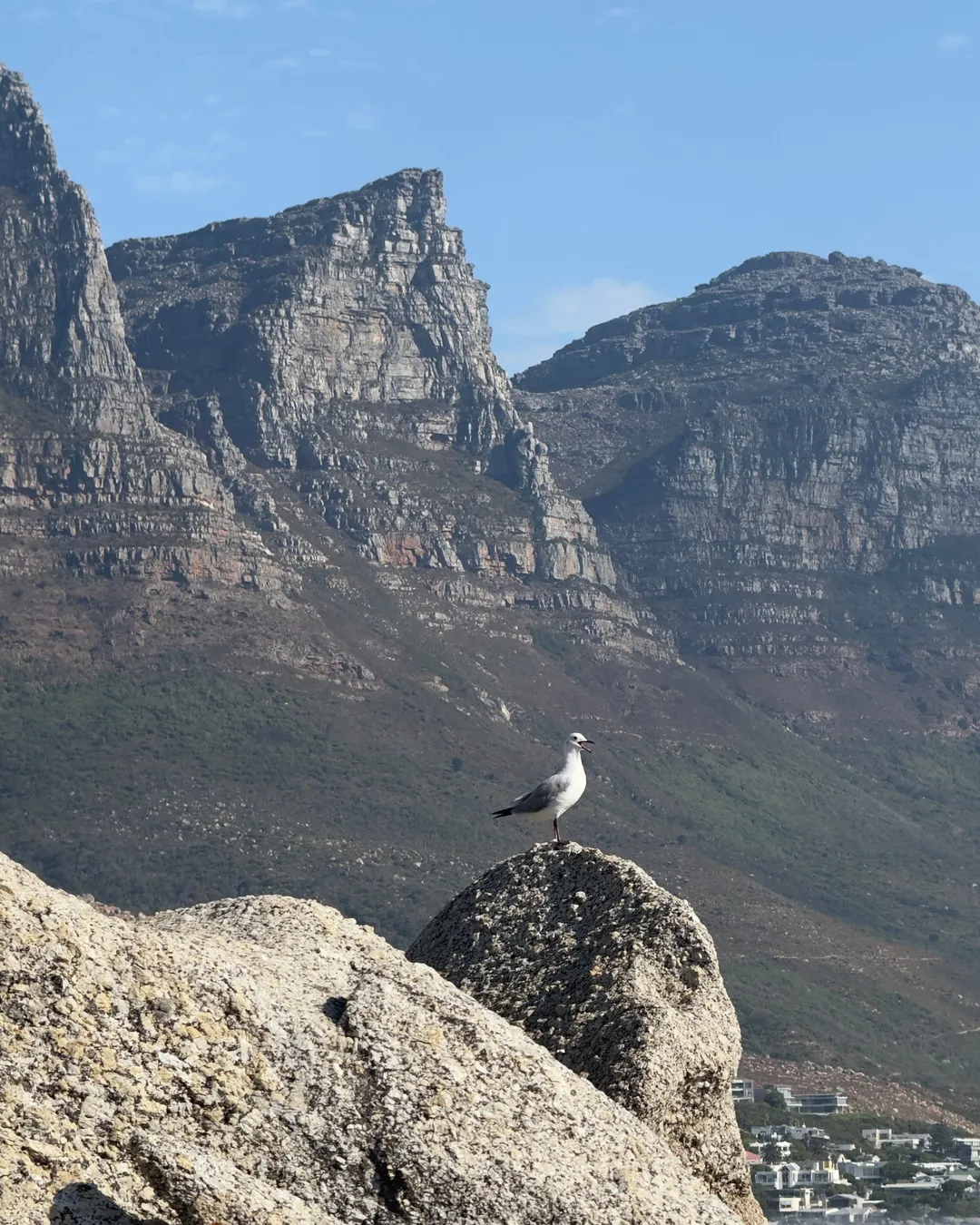 Camps Bay Beach