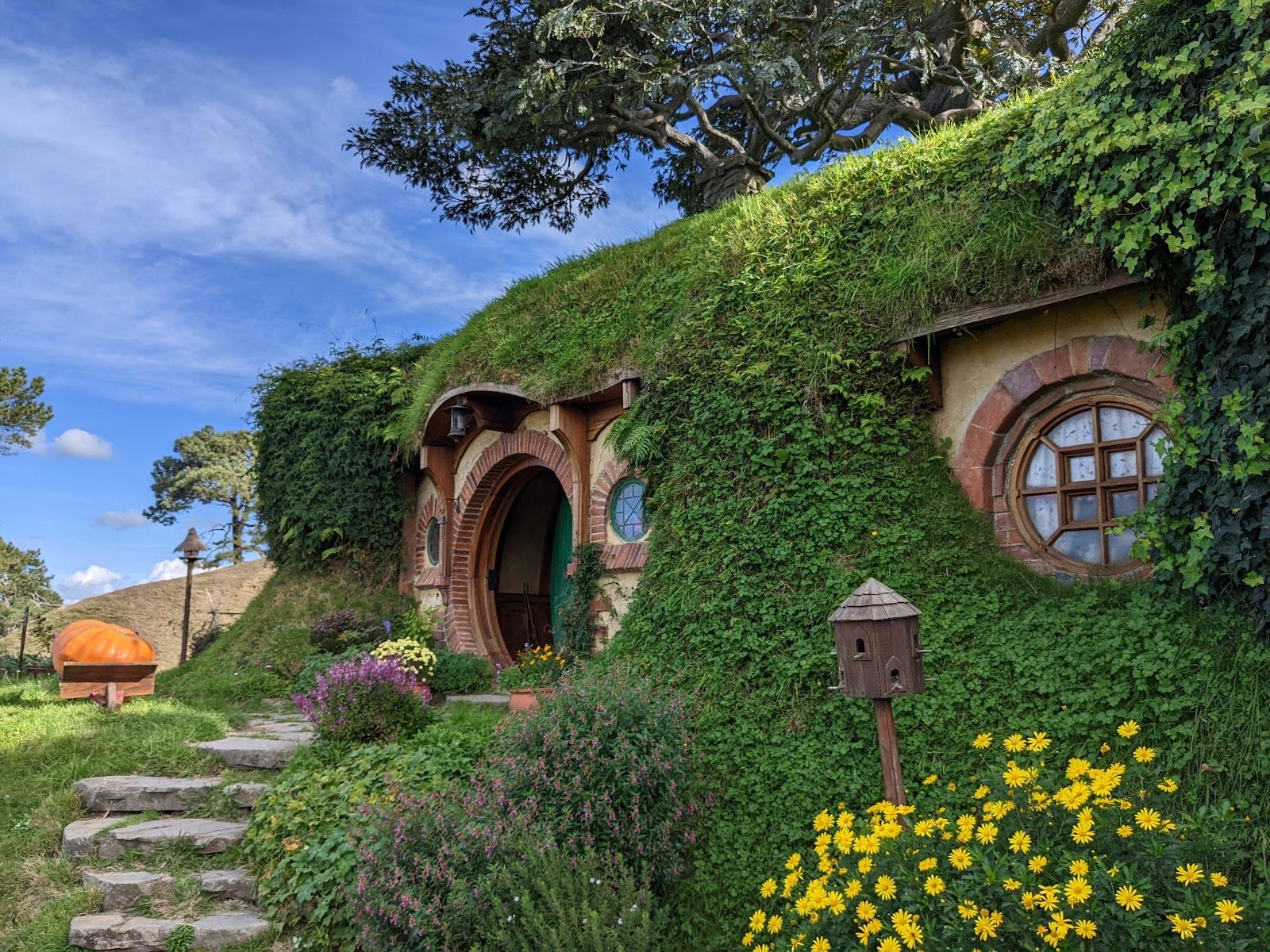 Hobbiton™ Movie Set Tours