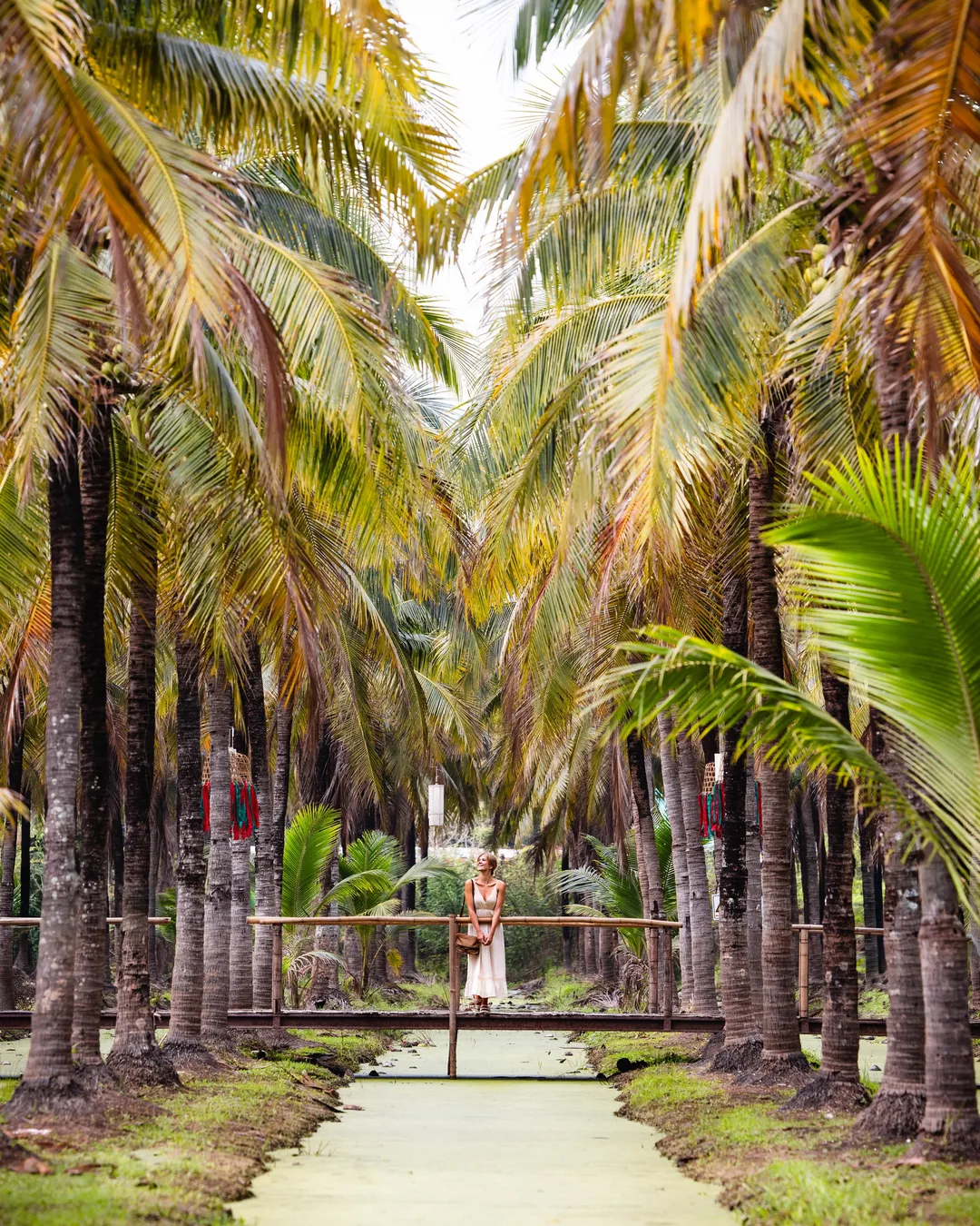 Coconut Market