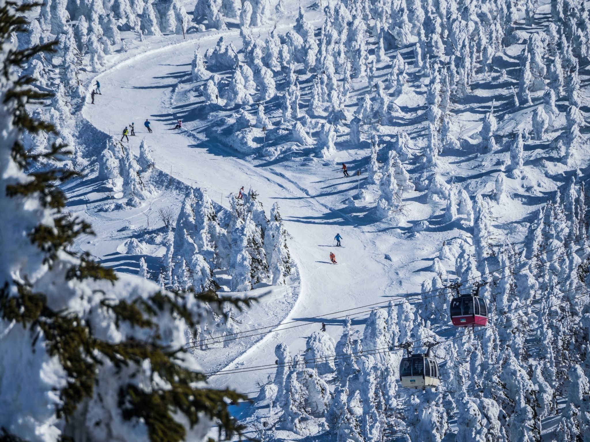Zao Snow Monsters - Rural Travels, Japan - Rexby