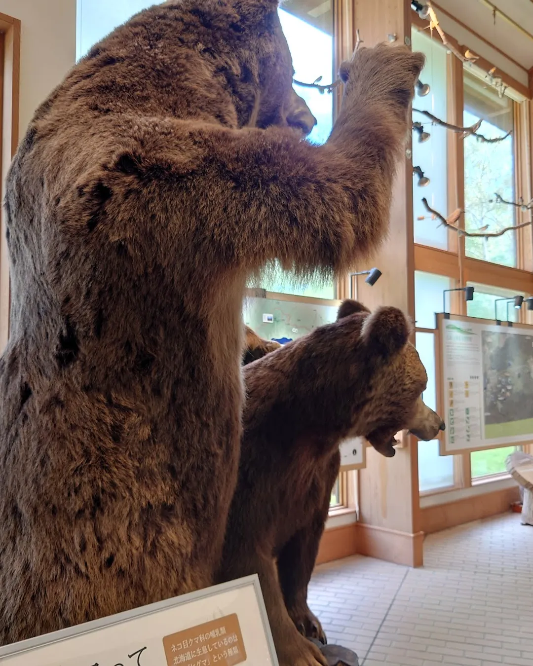 Kawayu Eco Museum Center