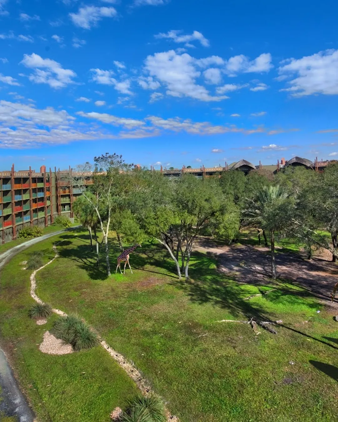 Disney's Animal Kingdom Lodge