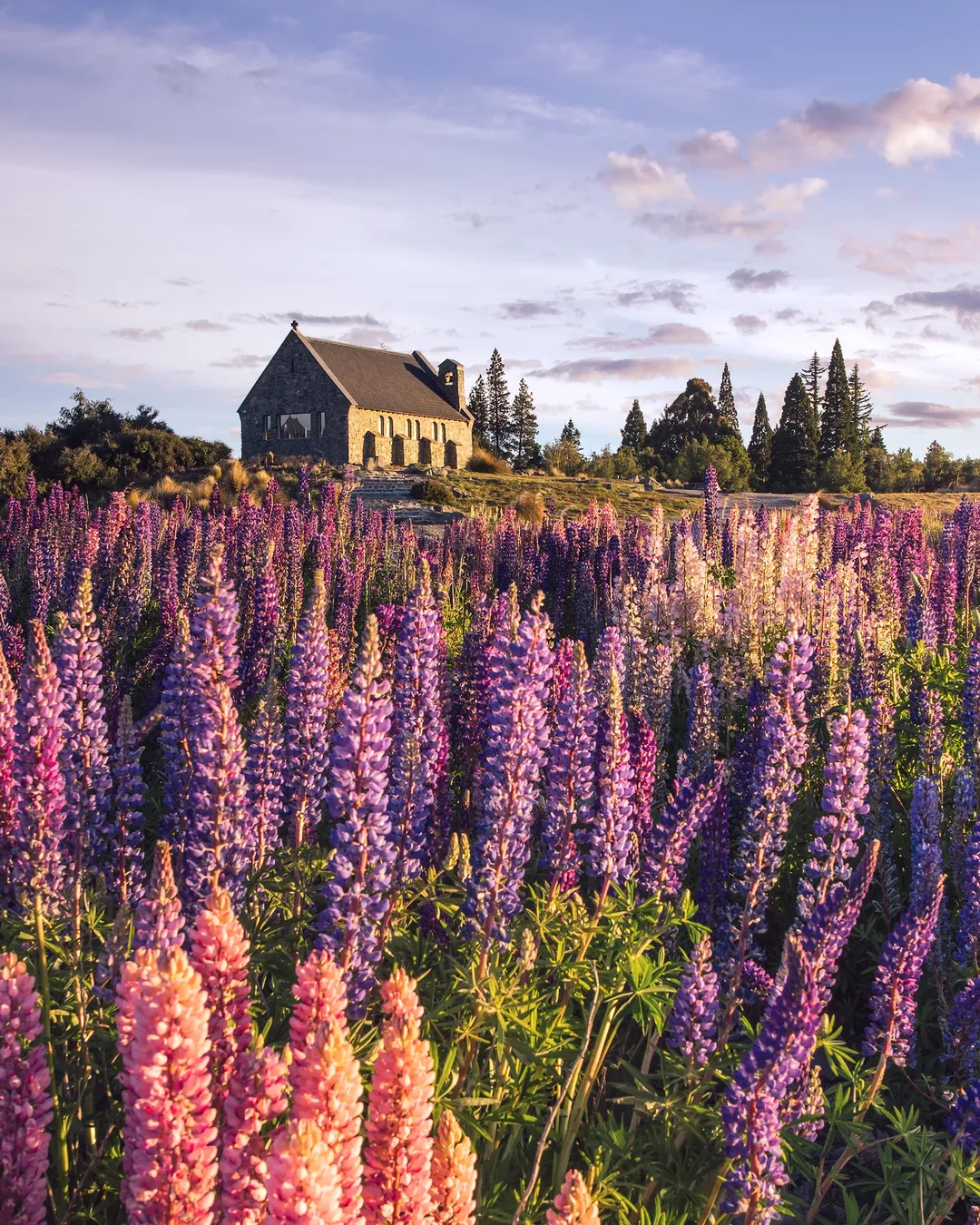 Lakes Edge Holiday Park Tekapo