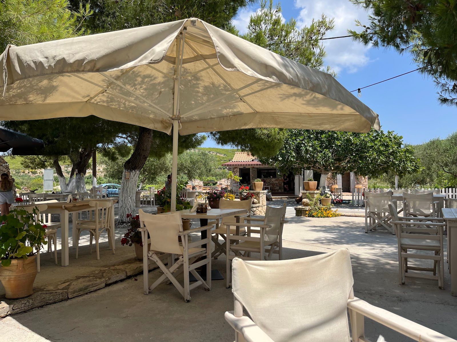 Cafe Snack Bar Restaurant NINTRI
