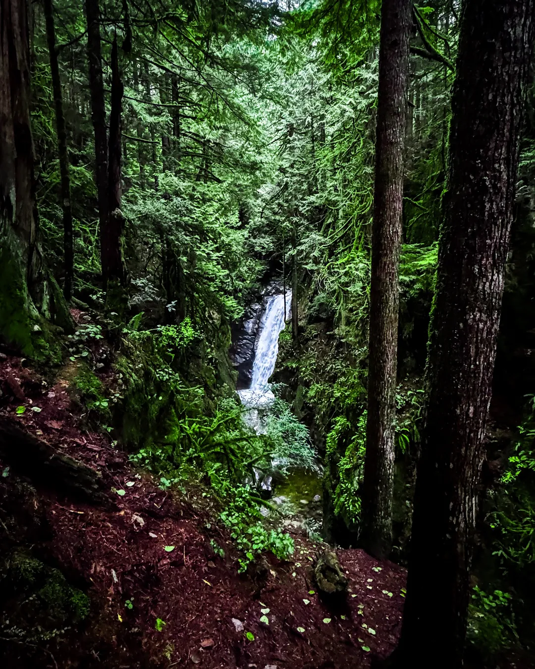 Cypress Falls Park | West Vancouver