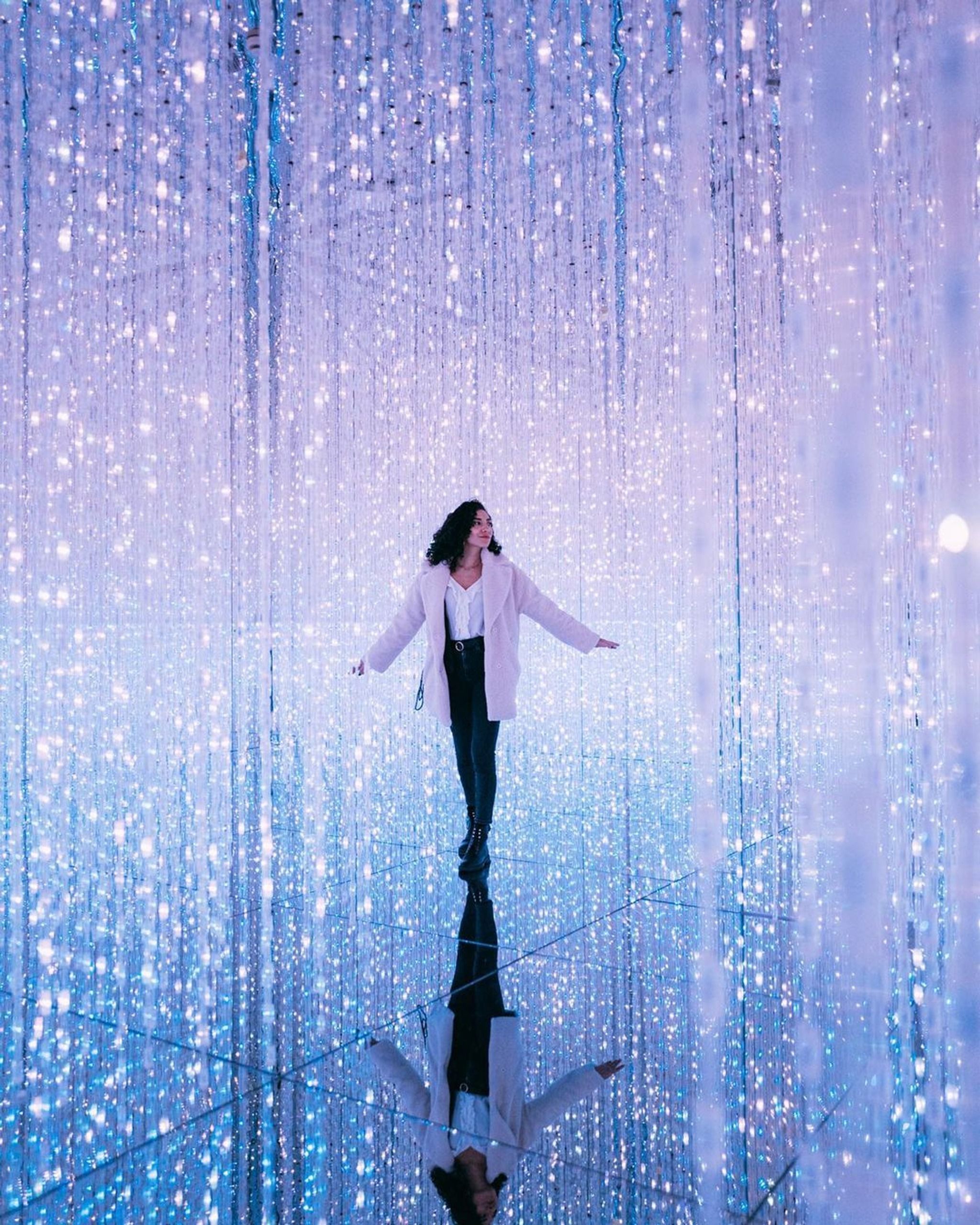 EPSON teamLab无界美术馆