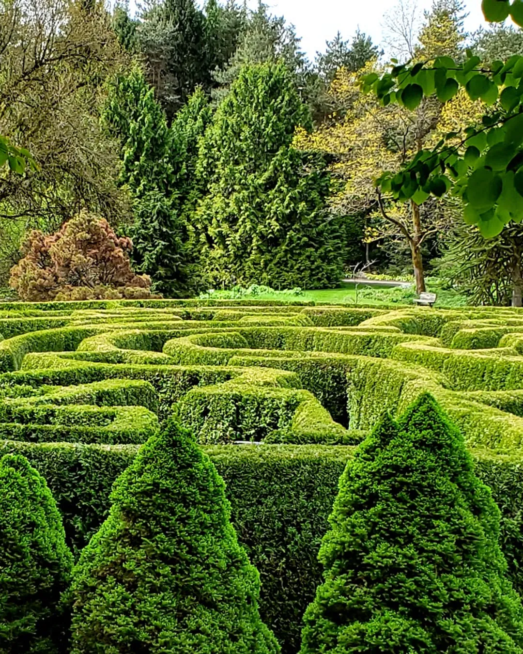 VanDusen Botanical Garden