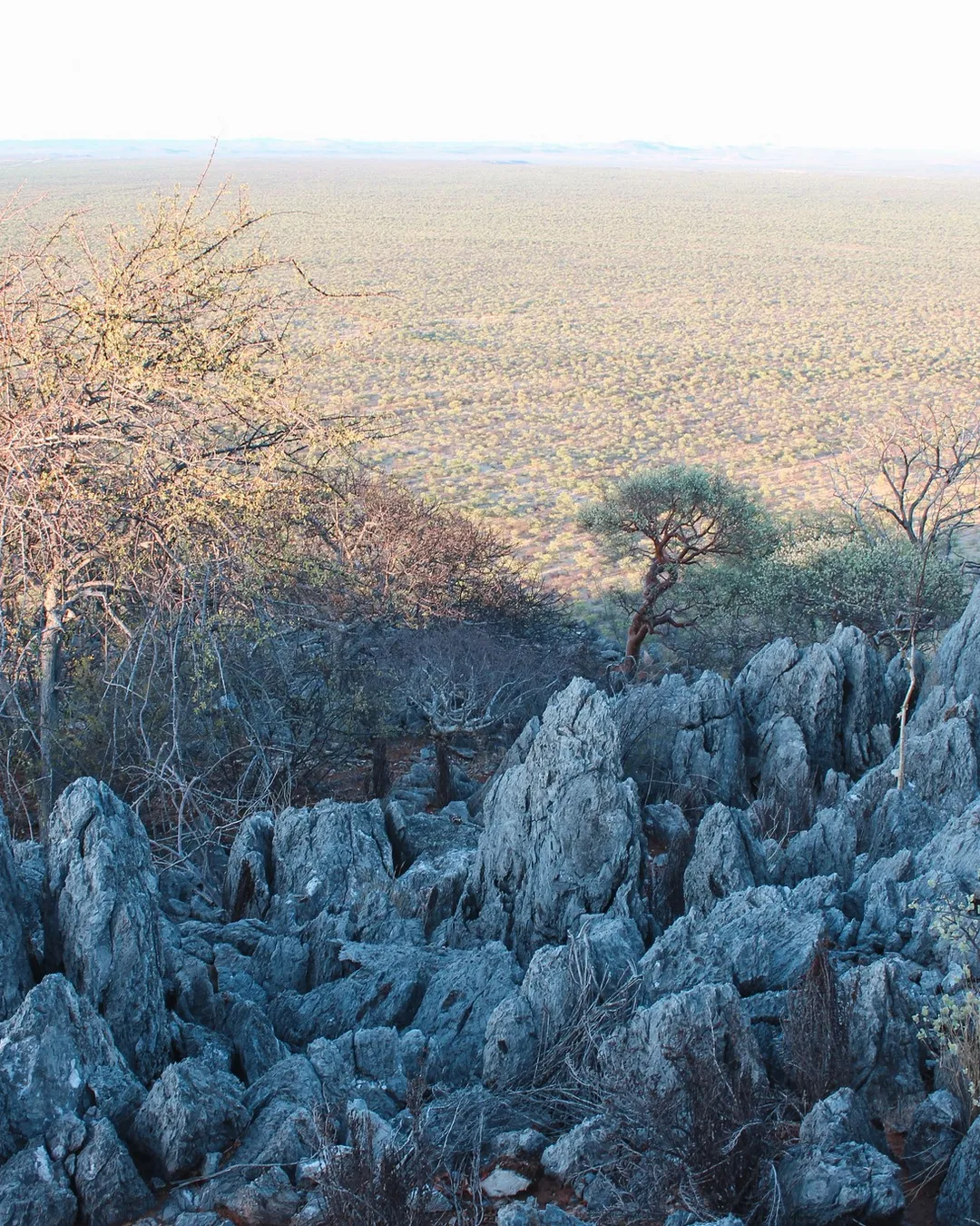 Waterberg