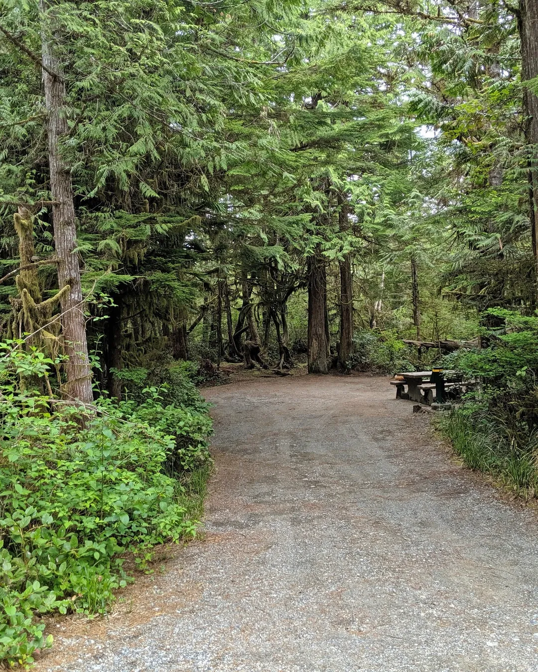 Green Point Campground