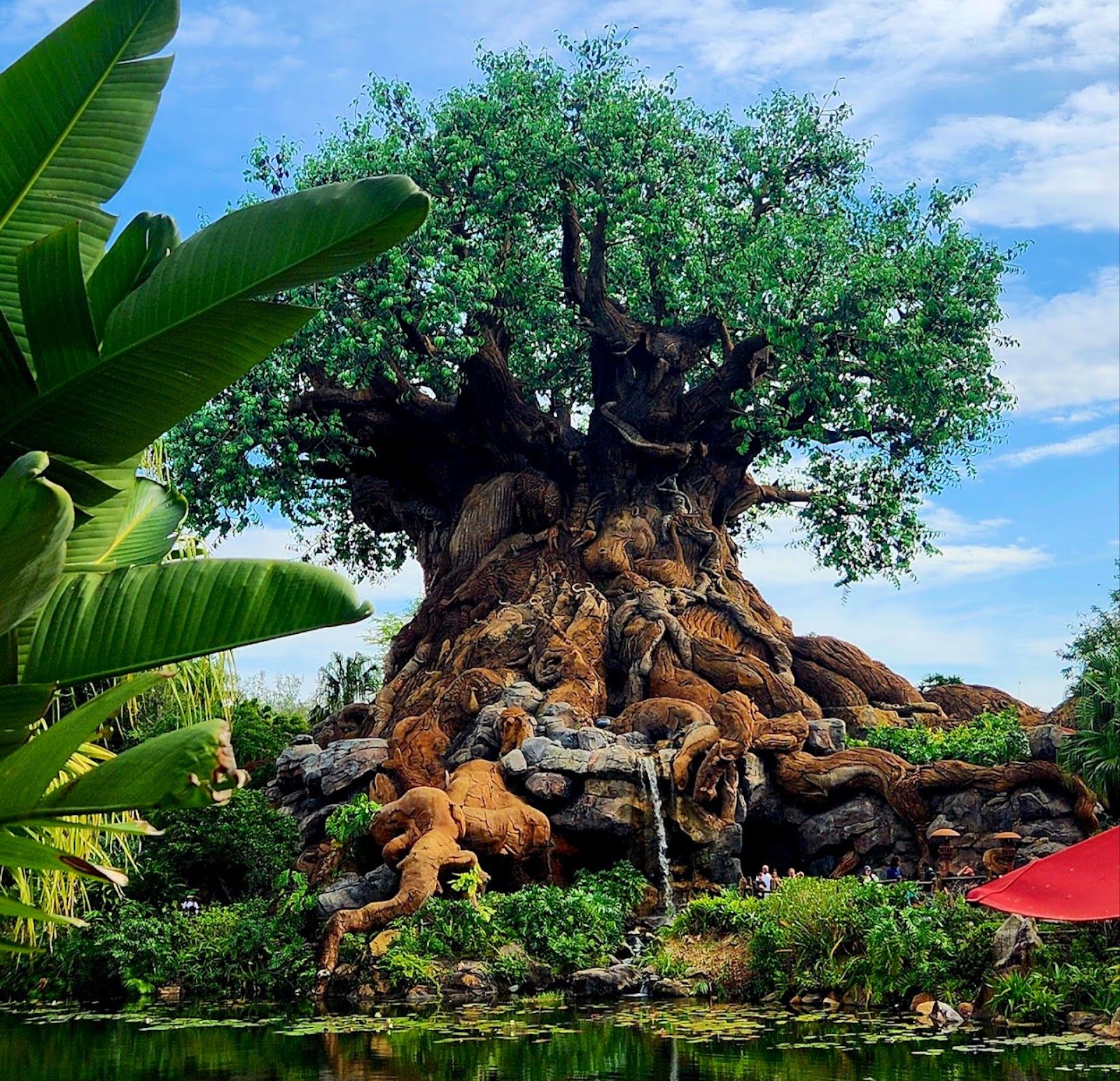 Disney's Animal Kingdom