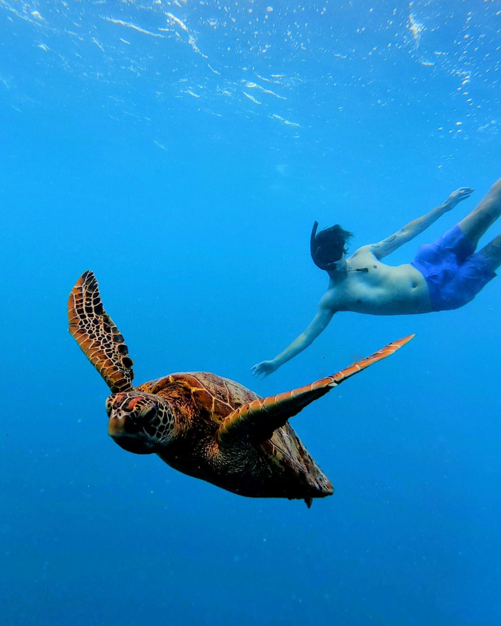 Sea Pace Rarotonga (code LIAM10 for 10% off)