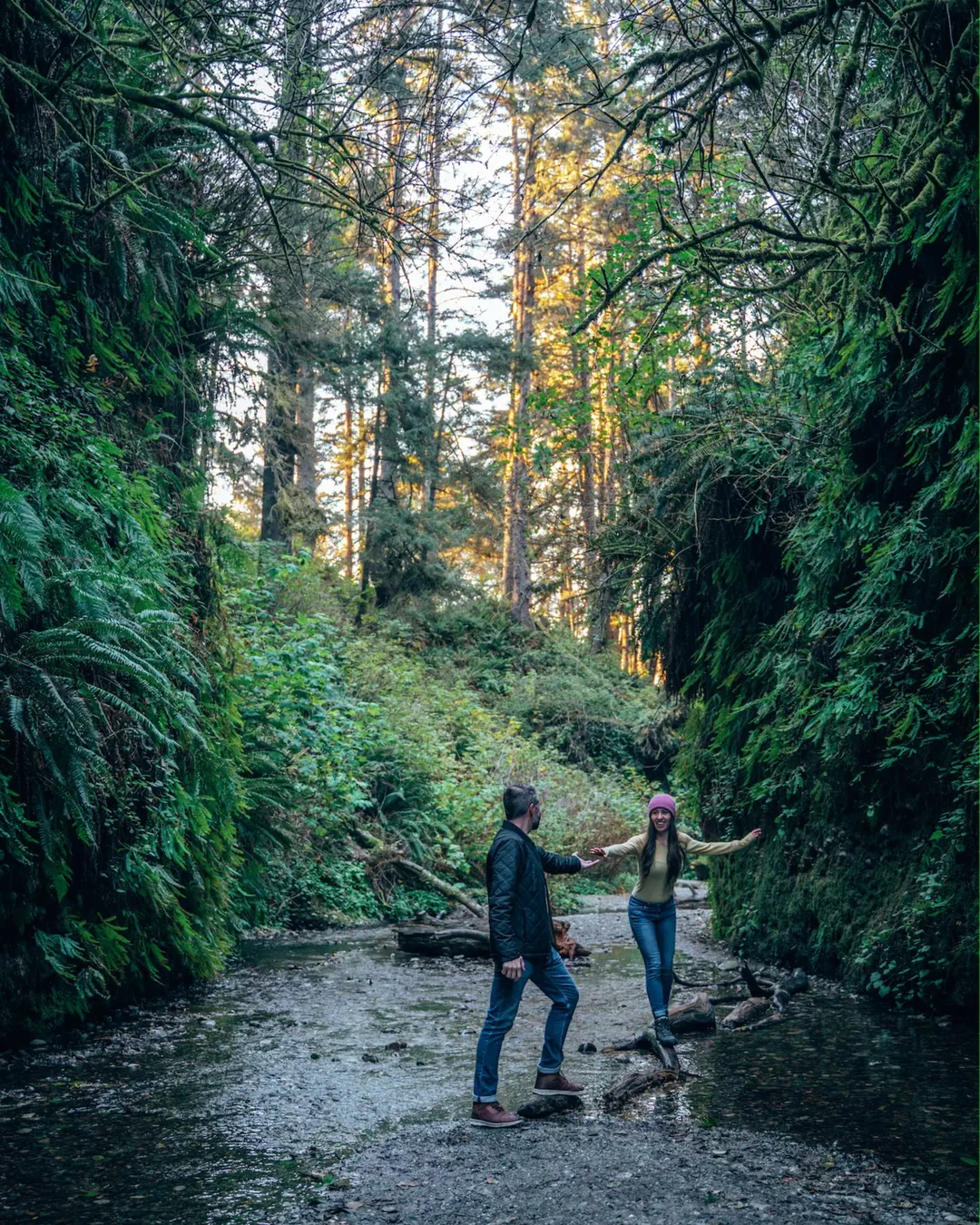 Fern Canyon Trail