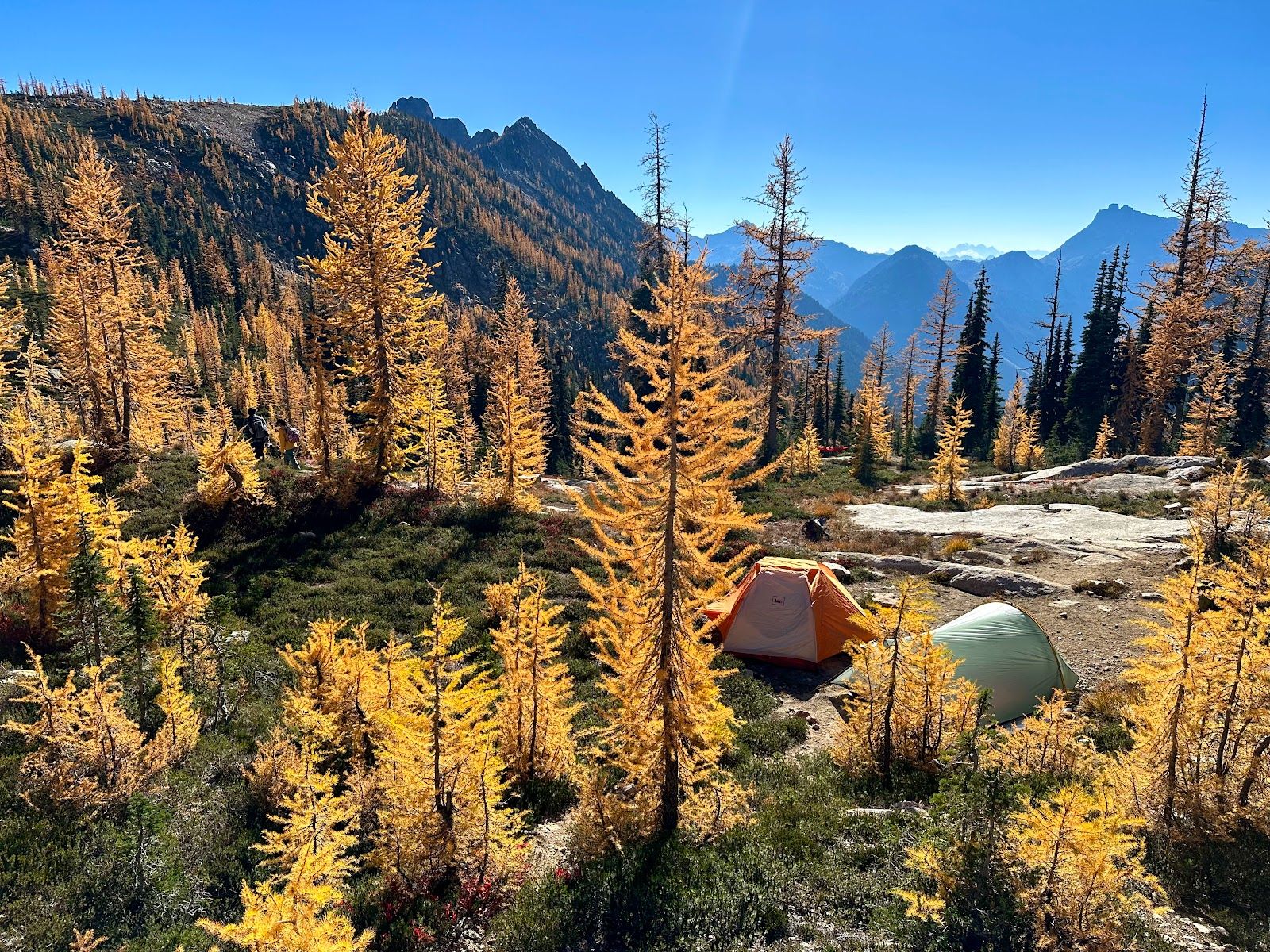 Cutthroat Pass Trailhead