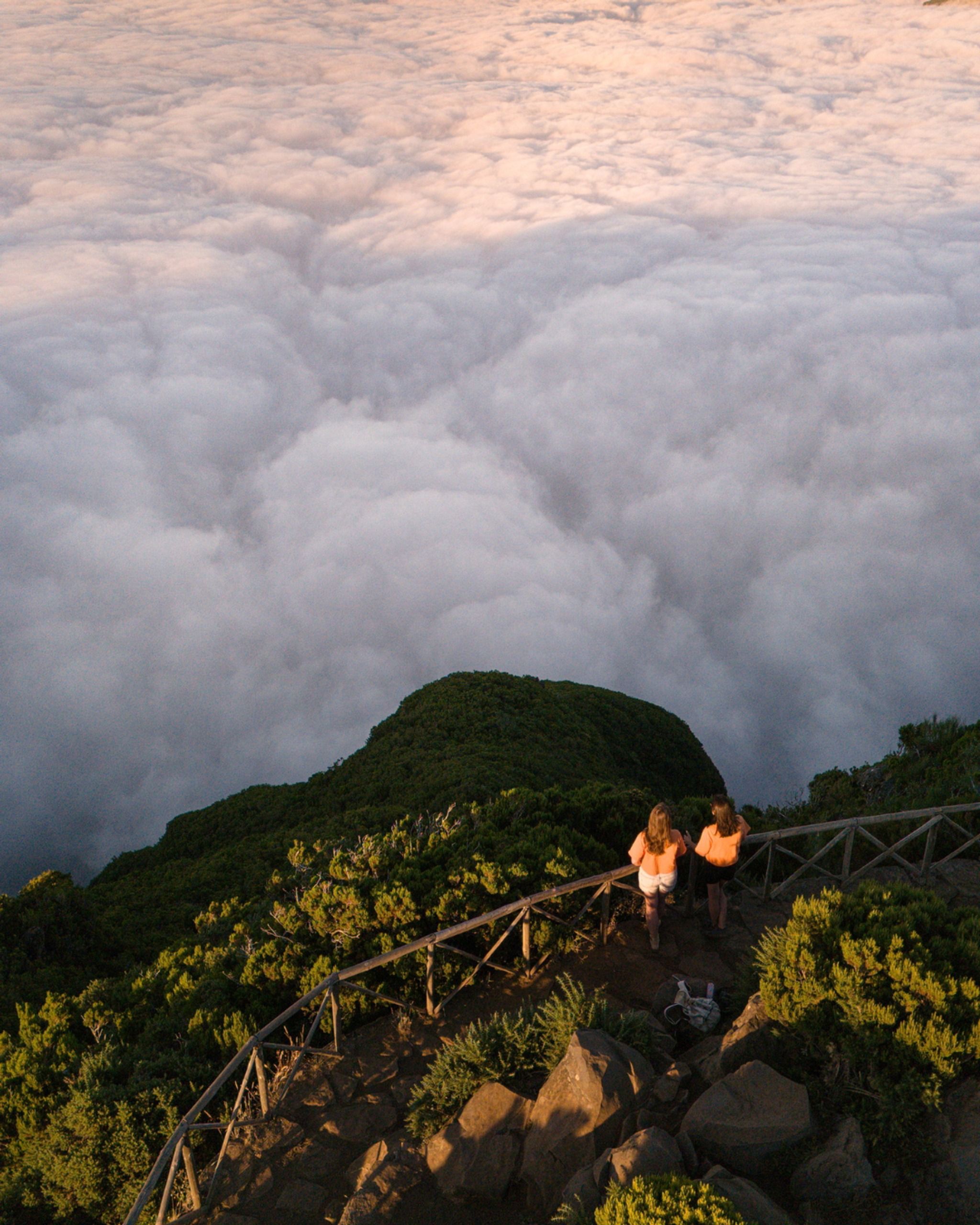 Get to Hikes Transfer