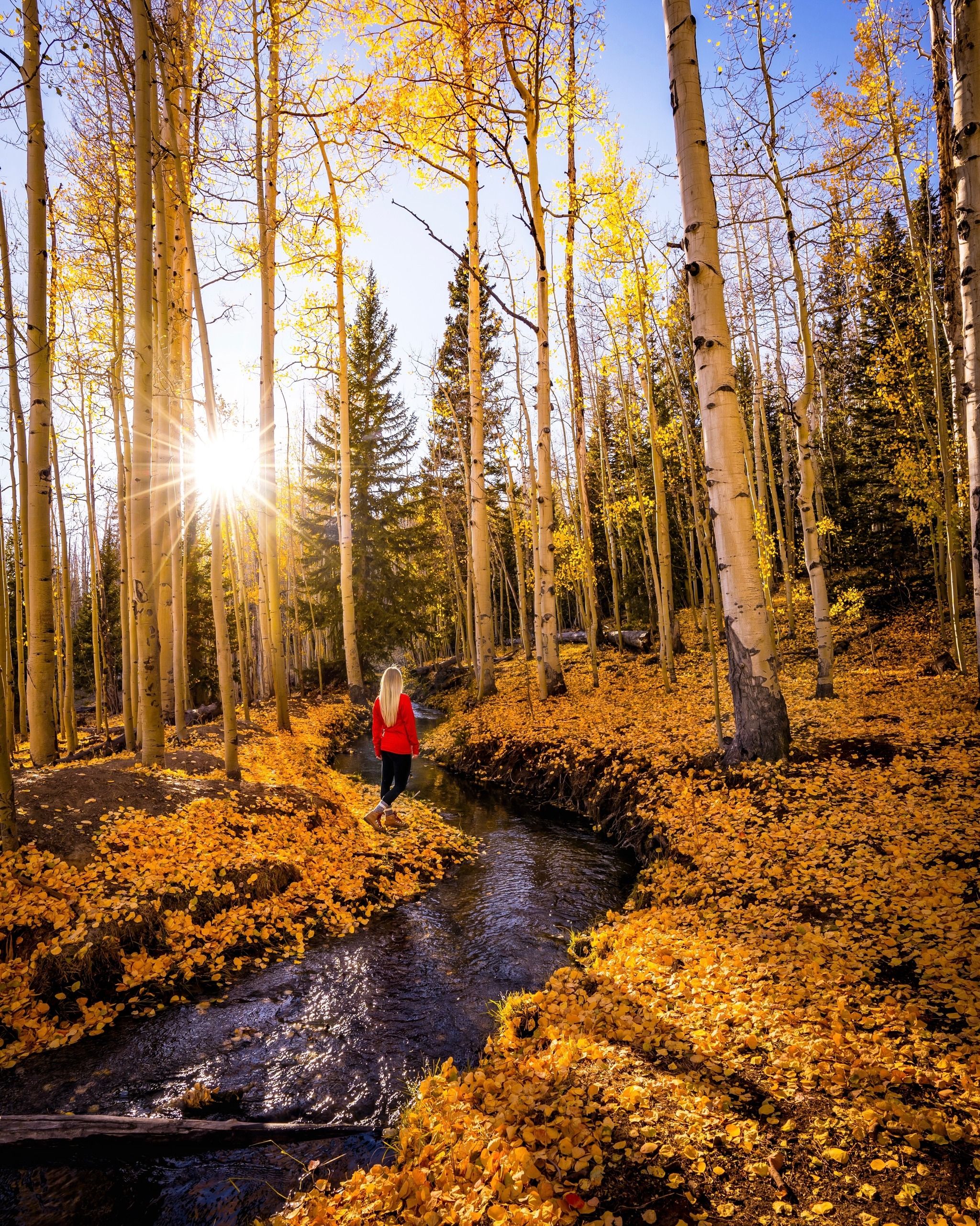 Deb's Meadow Water Canal
