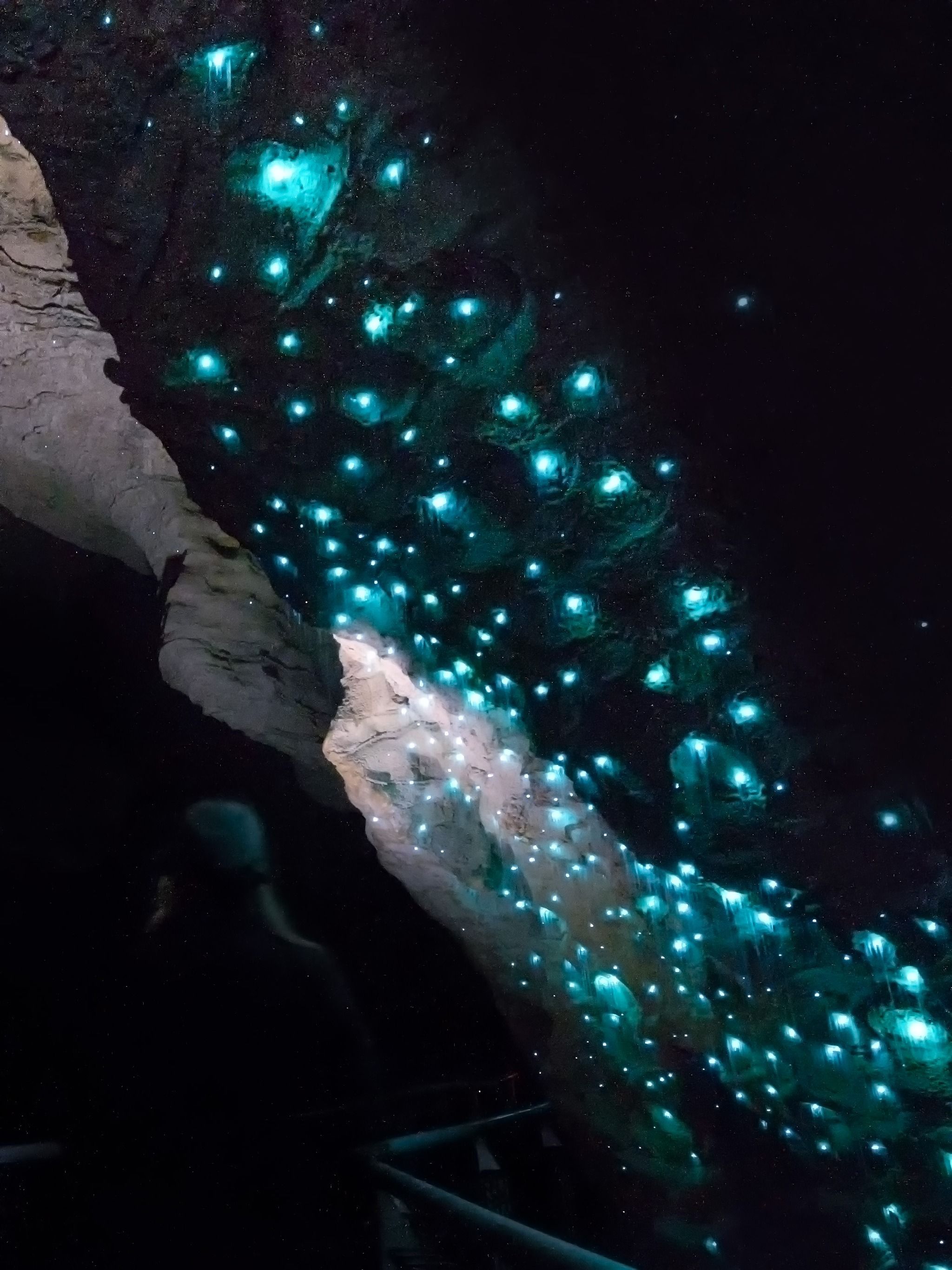 Waitomo and Ruakuri Cave Tours Waitomo Waikato