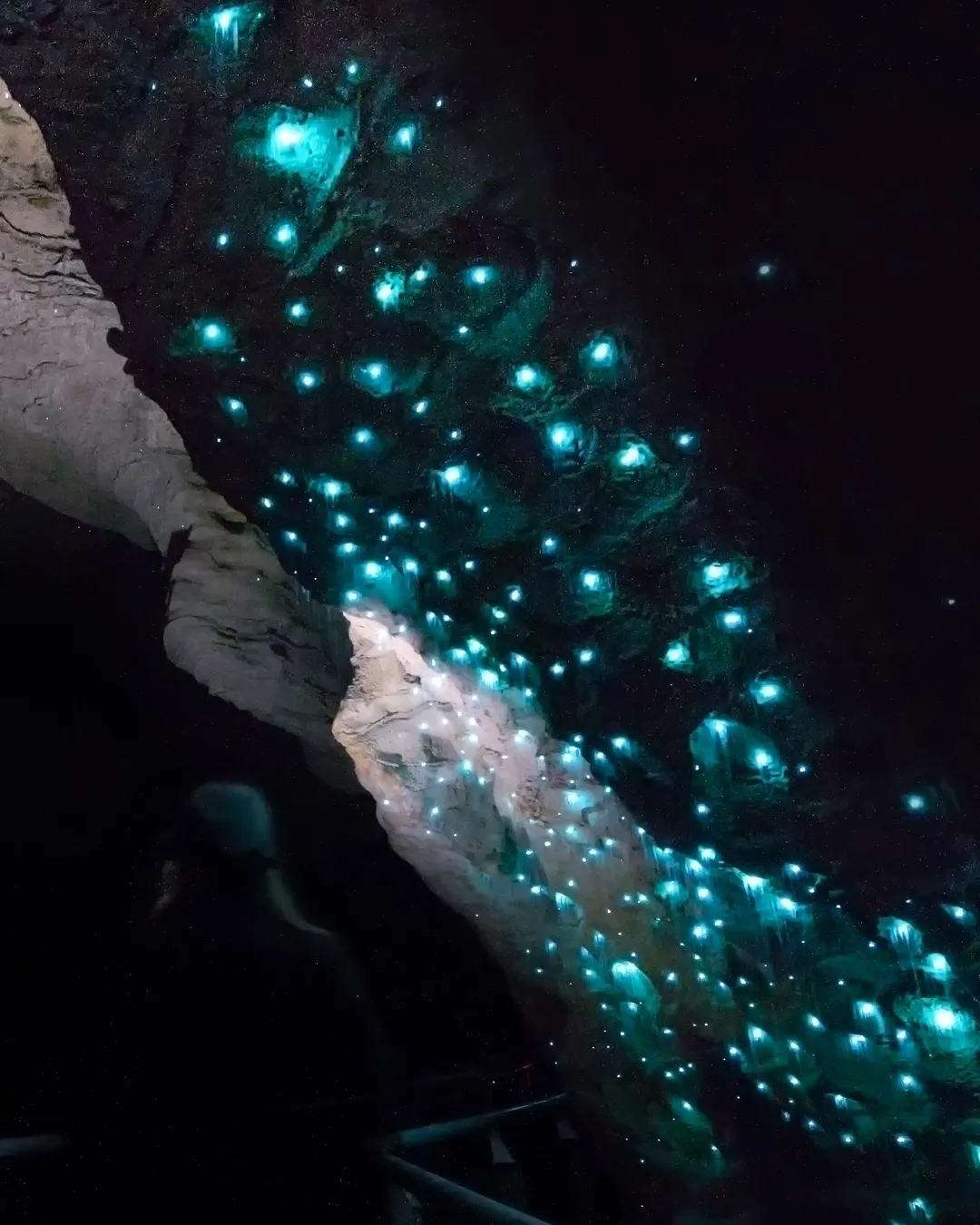 Ruakuri Cave Tours Waitomo Waikato