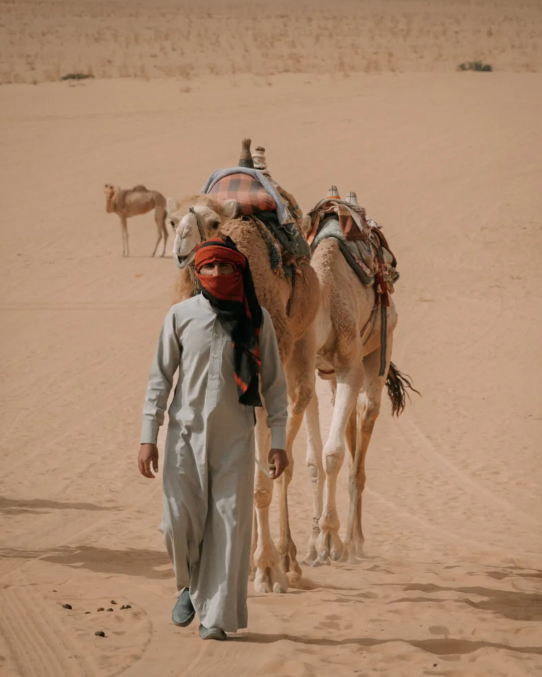 Wadi Rum Village