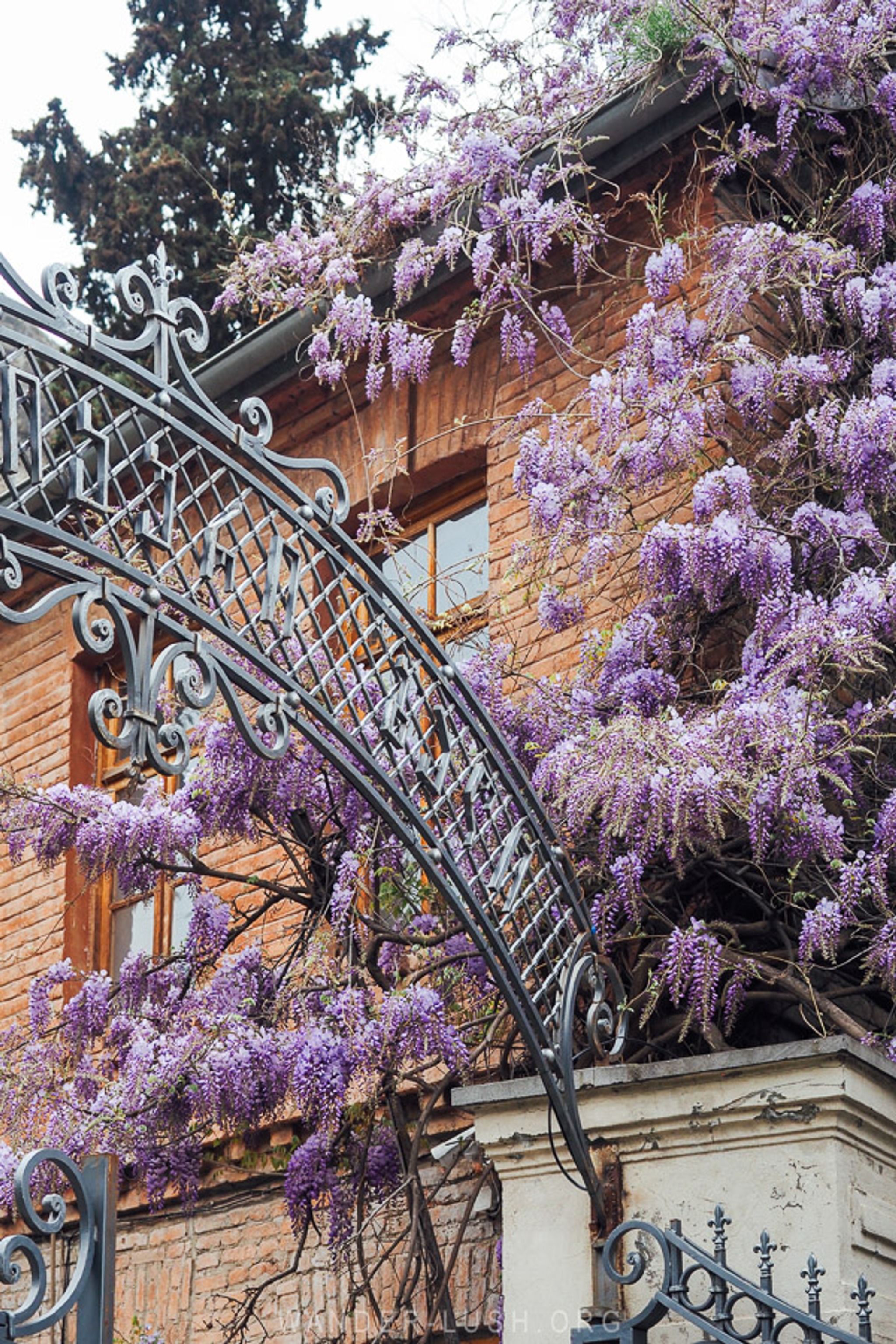 National Botanical Garden