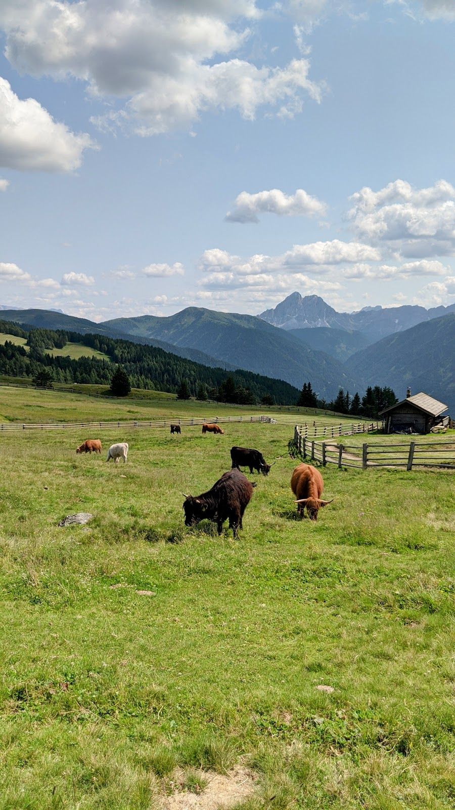Alpe di Rodengo, Zumis