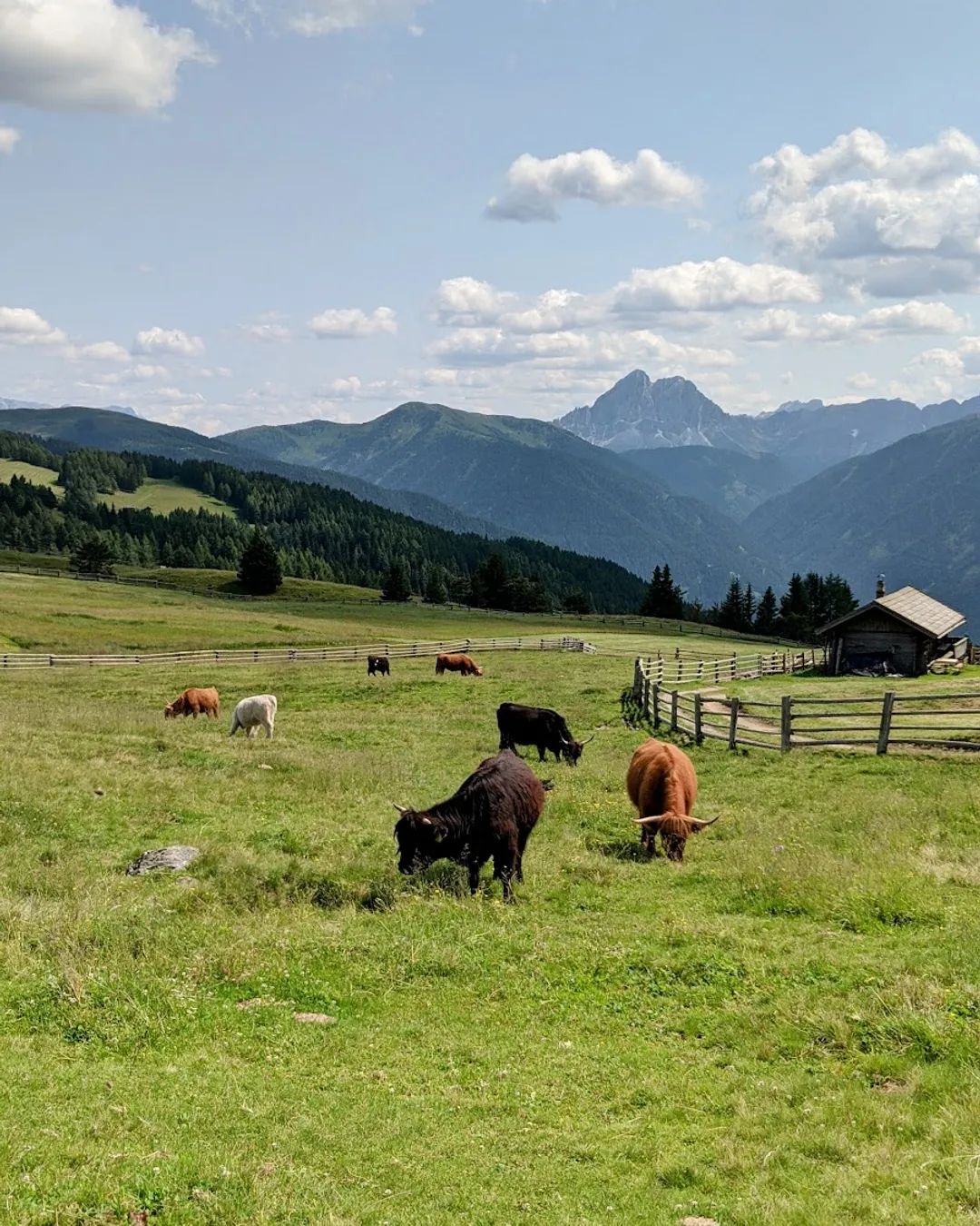 Alpe di Rodengo, Zumis