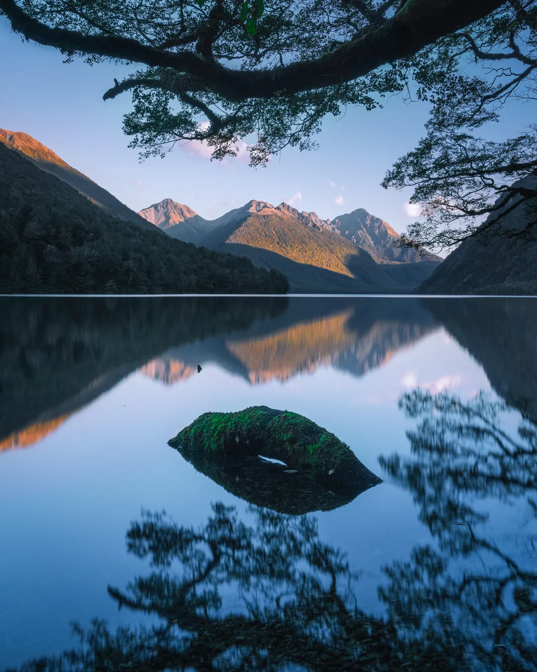 Lake Gunn North Viewpoint Fiordland