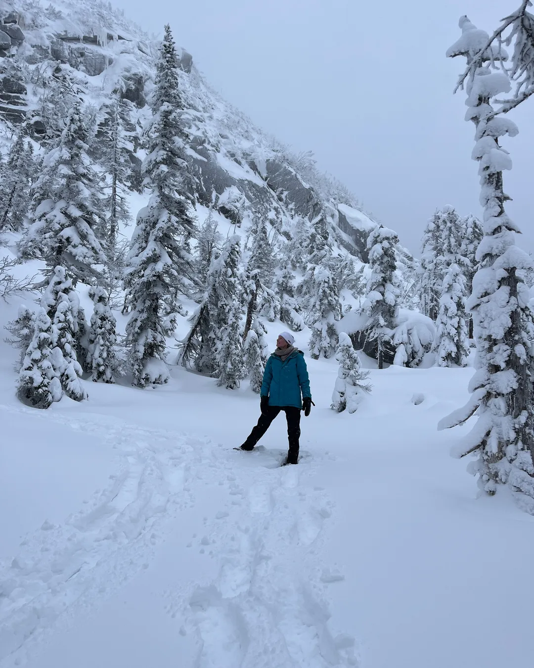 Parc national des Monts-Valin