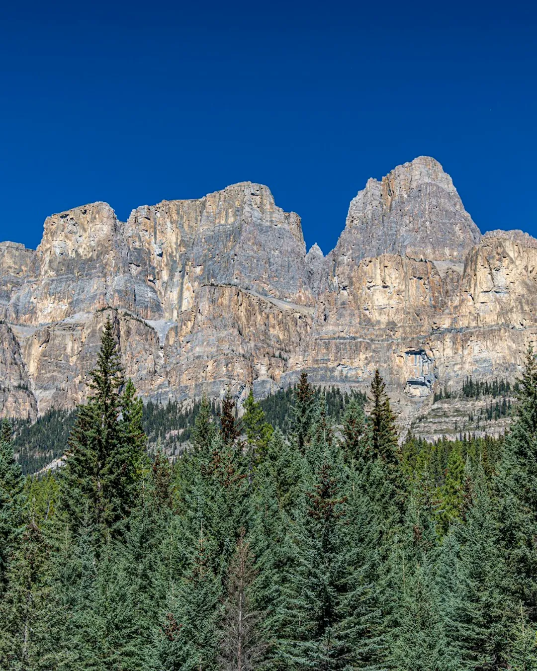 Castle Cliff Viewpoint