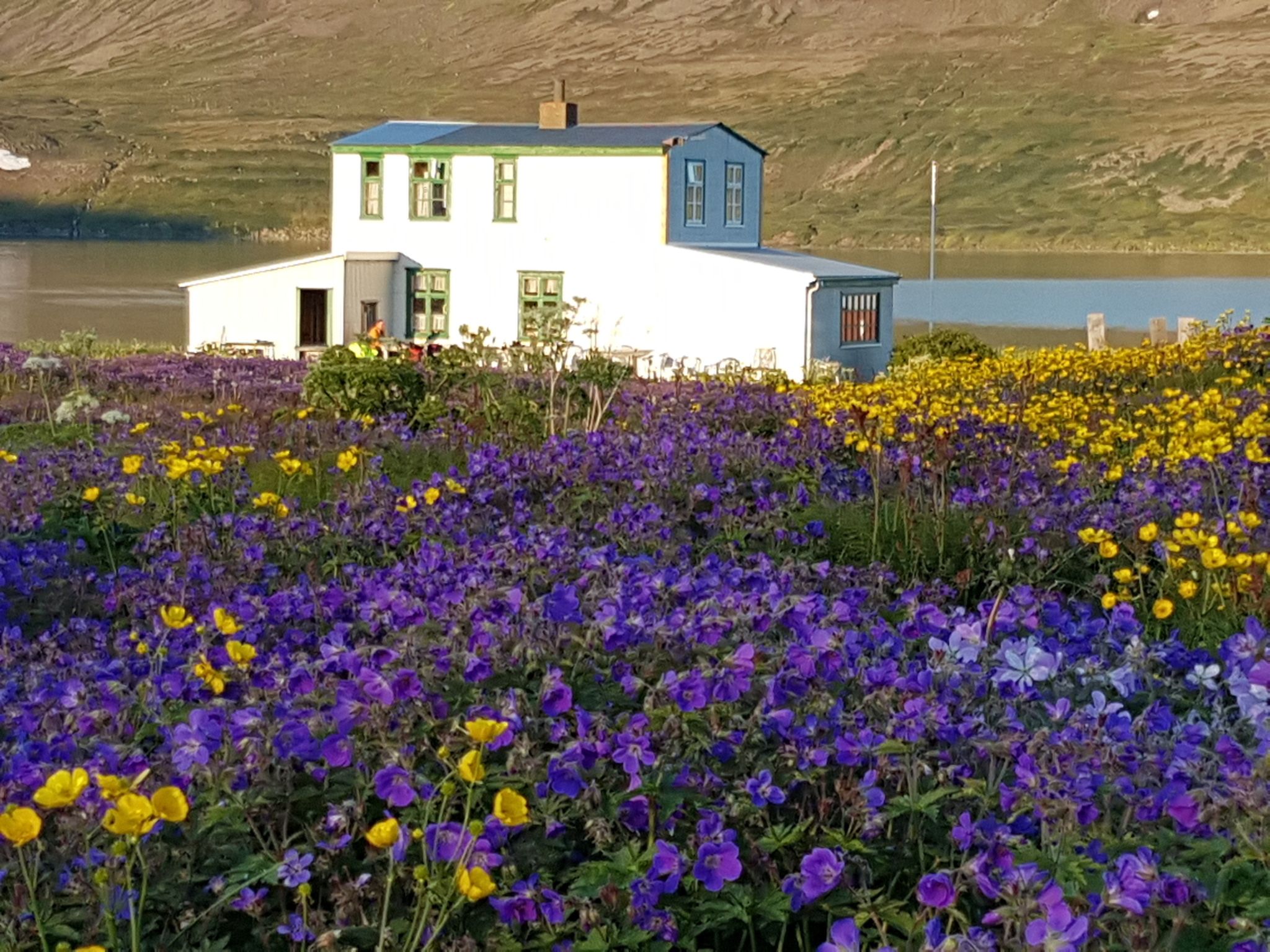 Læknishúsið
