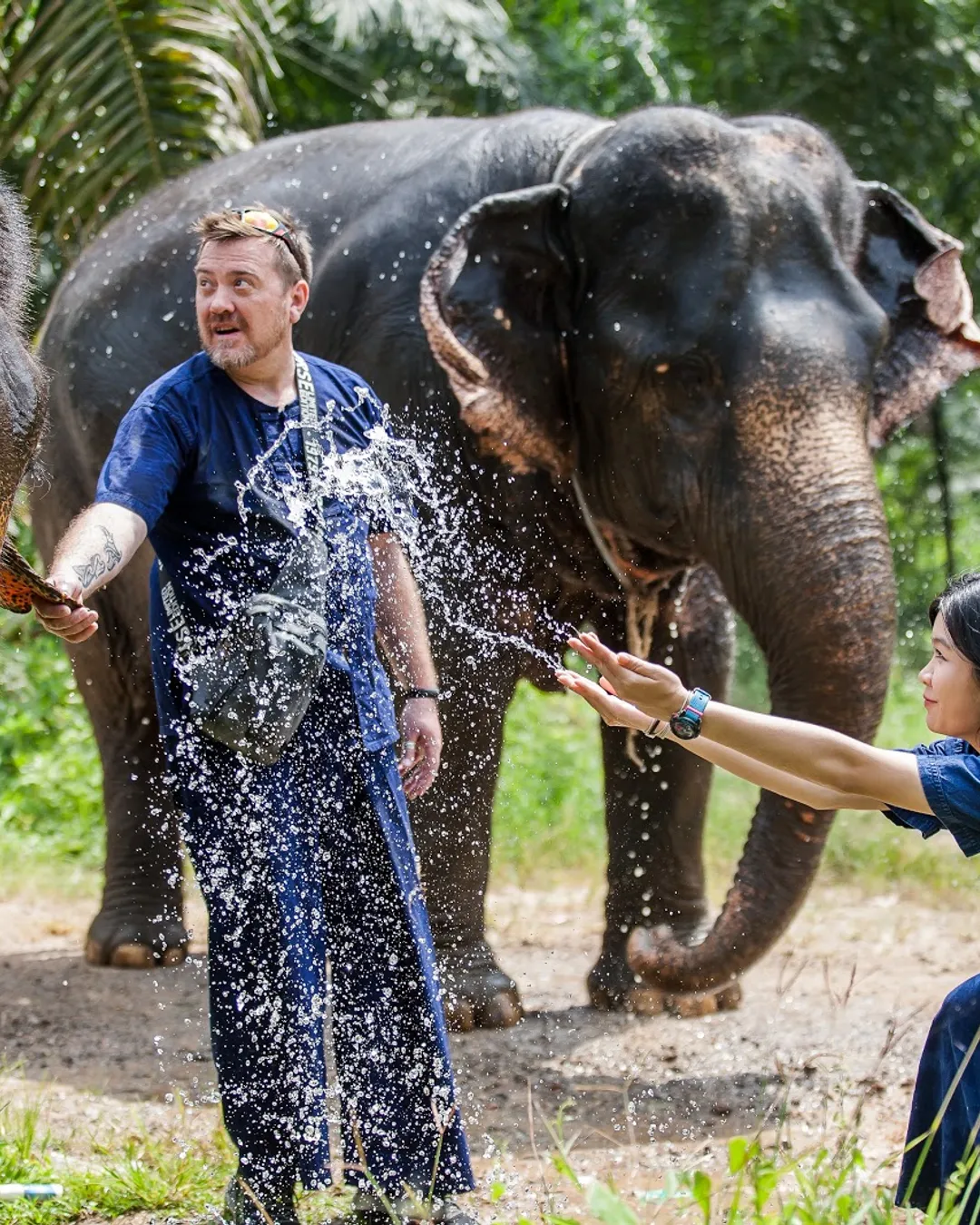 Krabi Elephant HOUSE Sanctuary