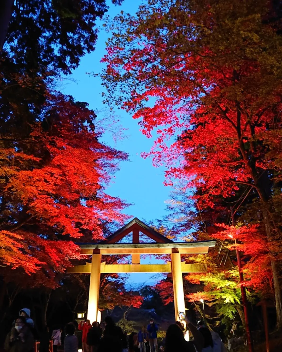 San-nou Torii