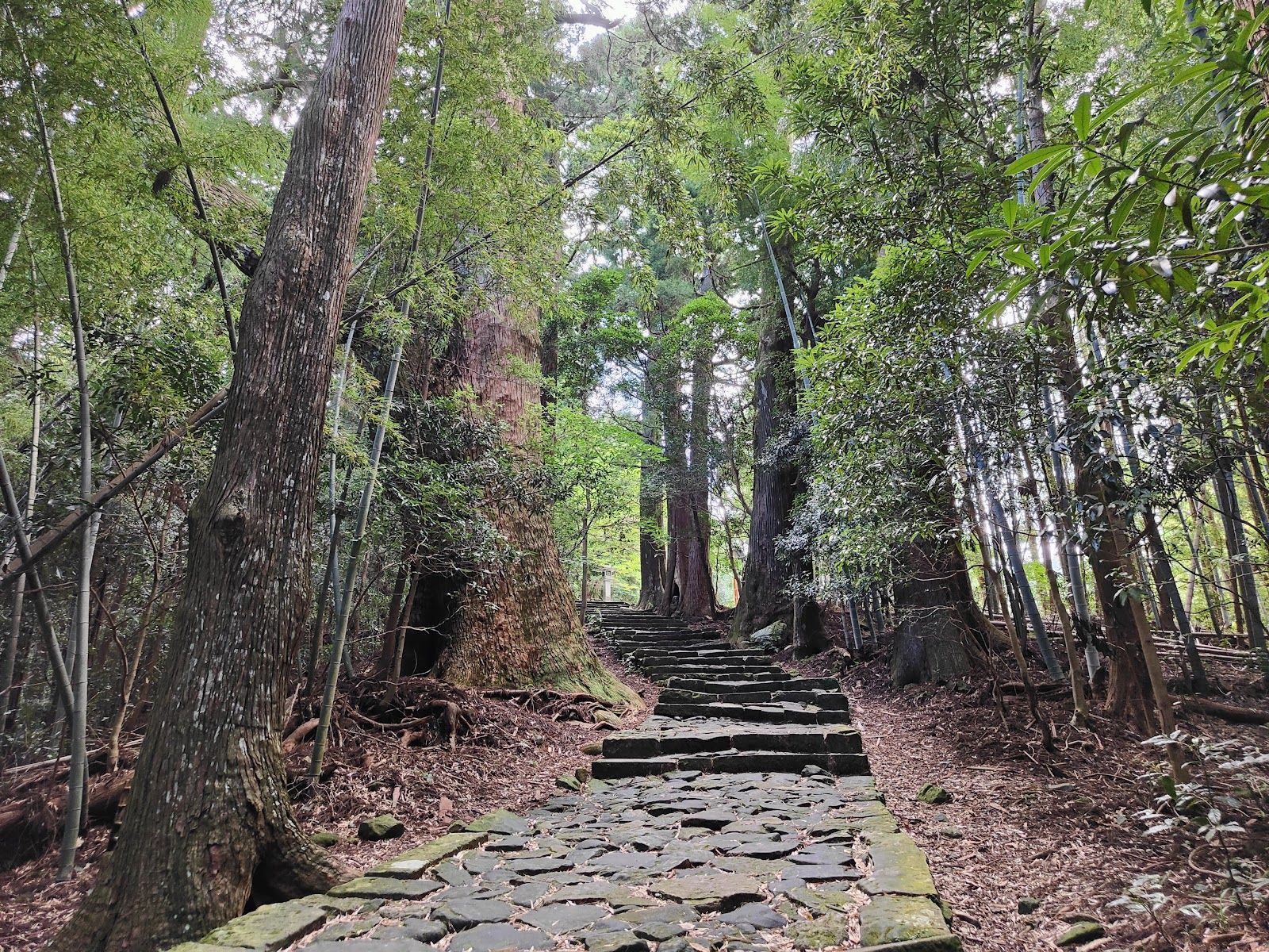 Kumano Kodo - Nakahechi Daimon-saka Pilgrim Route - Japan - Rexby