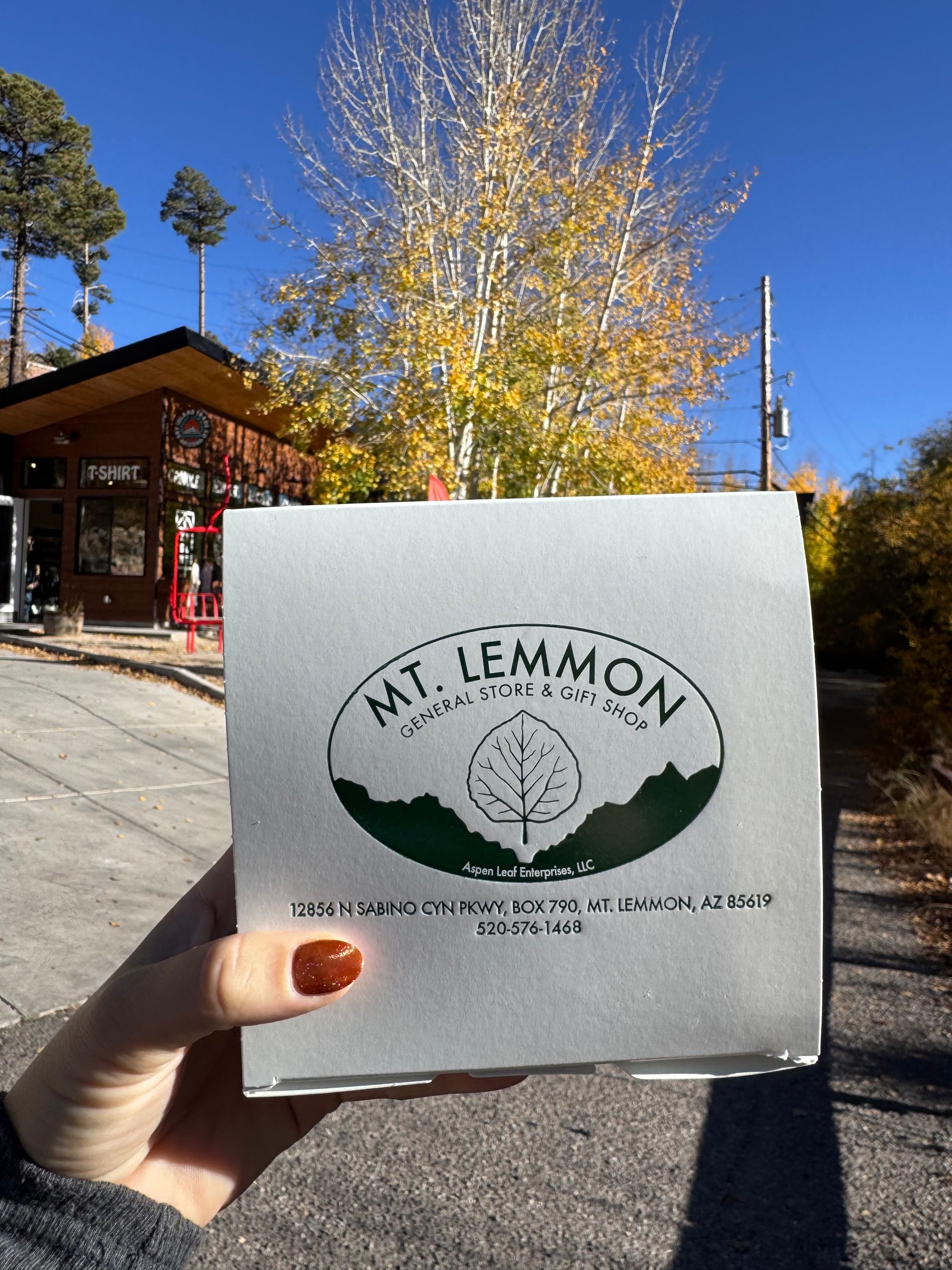 Mt Lemmon General Store & Gift Shop