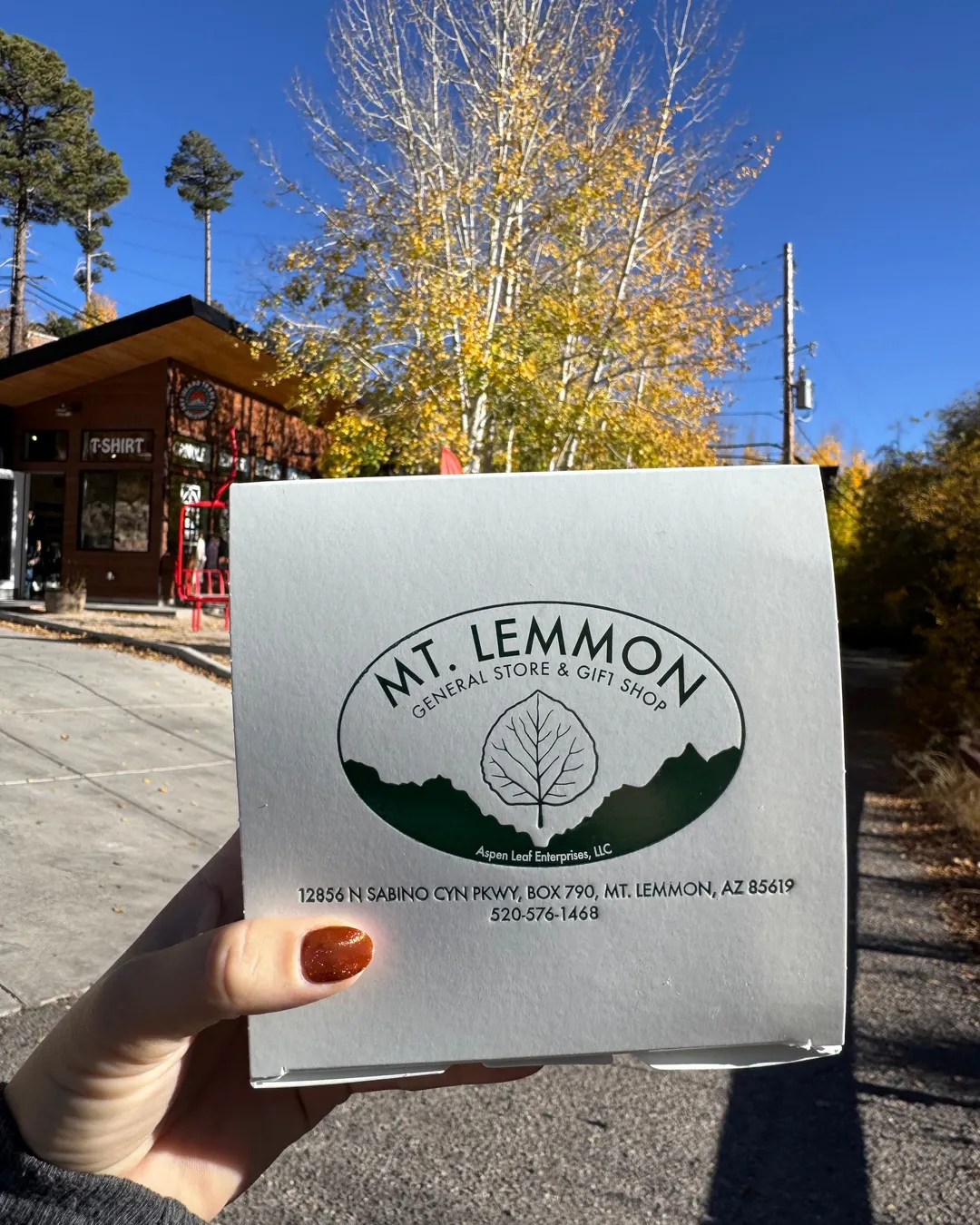 Mt Lemmon General Store & Gift Shop
