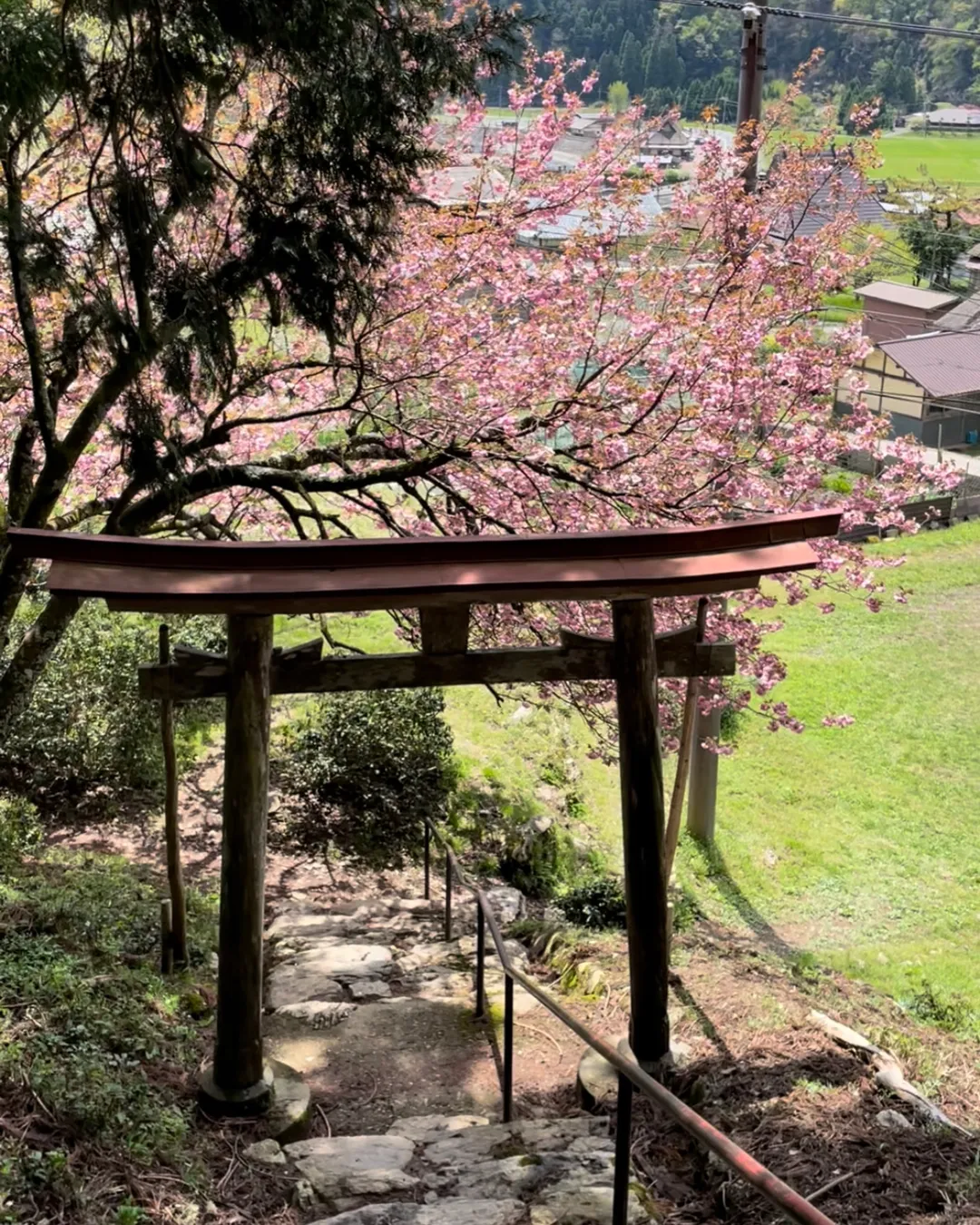 Kamakura Shrine