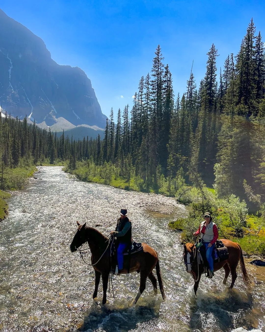 Brewsters Lake Louise Stables - Banff National Park, Canada - Rexby