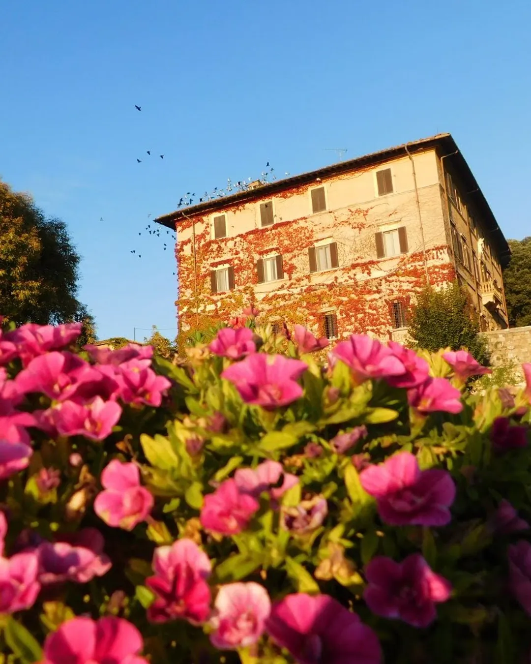 Castellina in Chianti