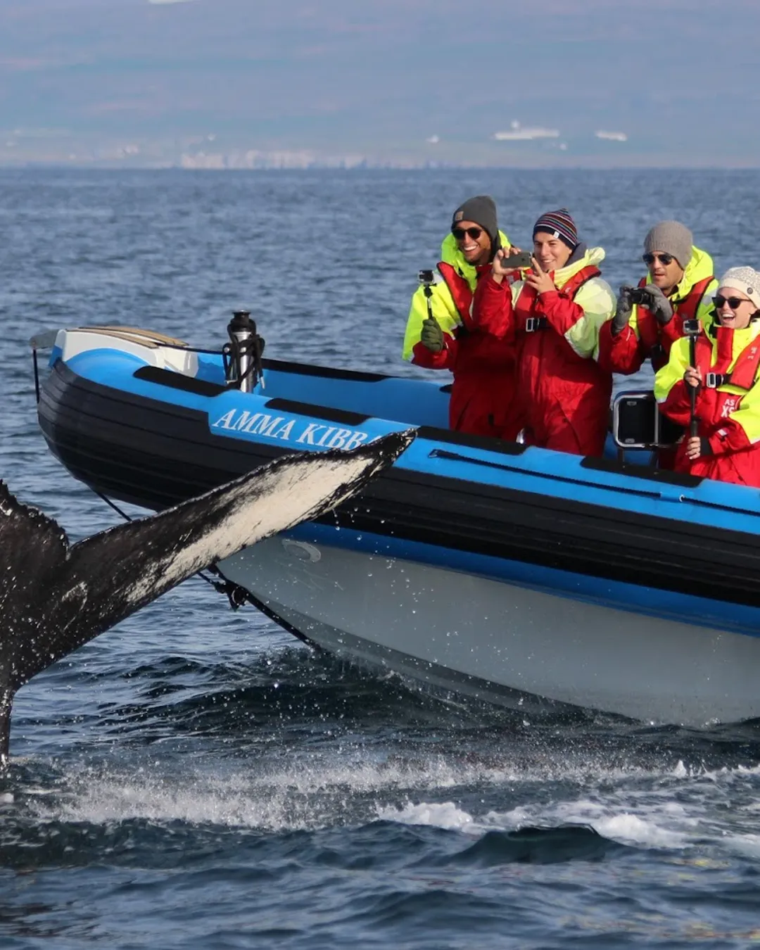 Gentle Giants – Húsavík Whale Watching